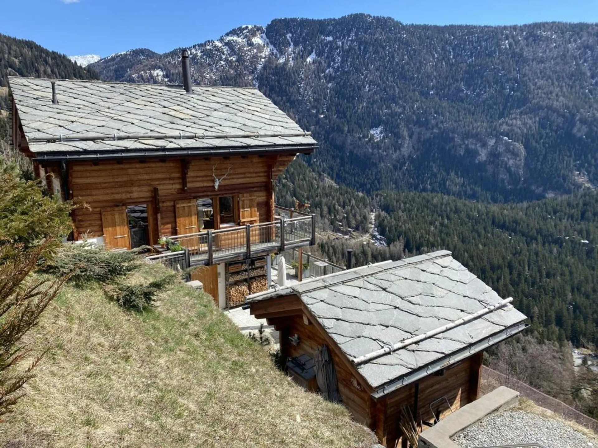 Immagine 2