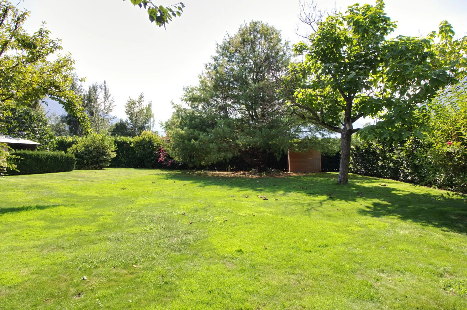 Immagine 4