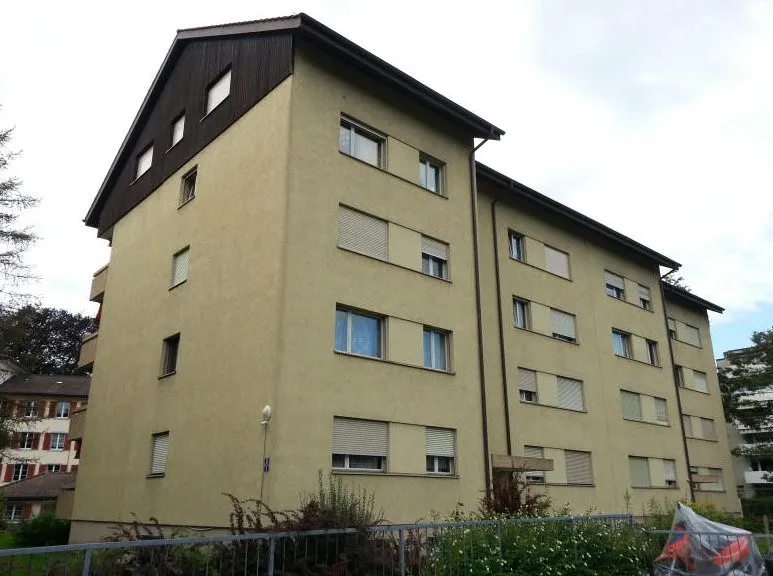 Zentrale Wohnung in Uster