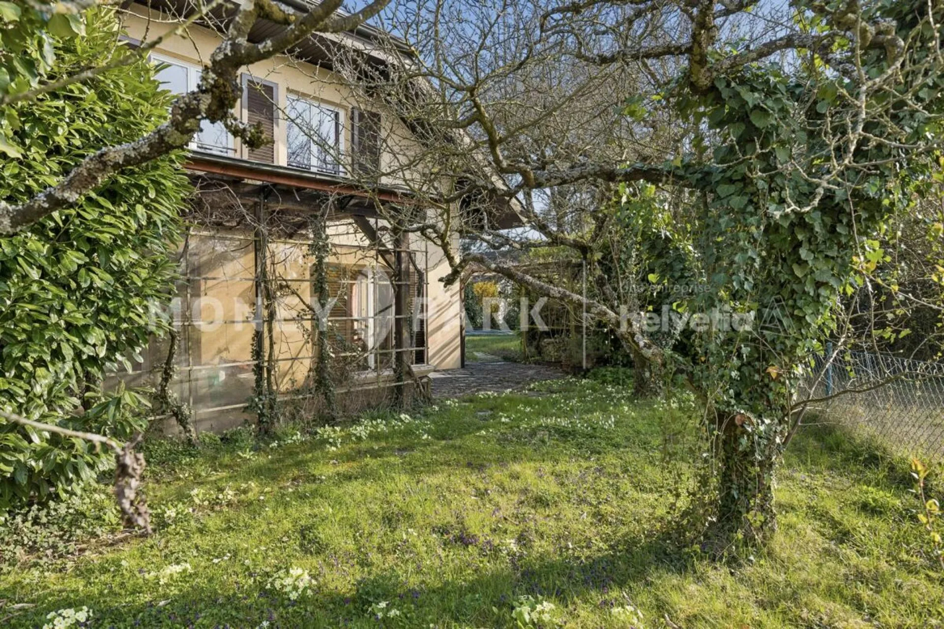 Image 15