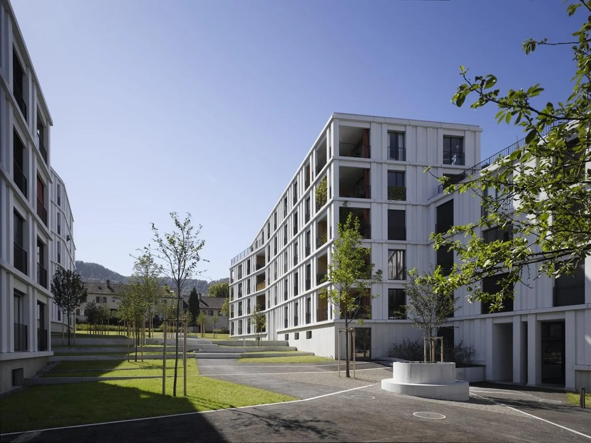Mitten im Grünen - mitten in Zürich