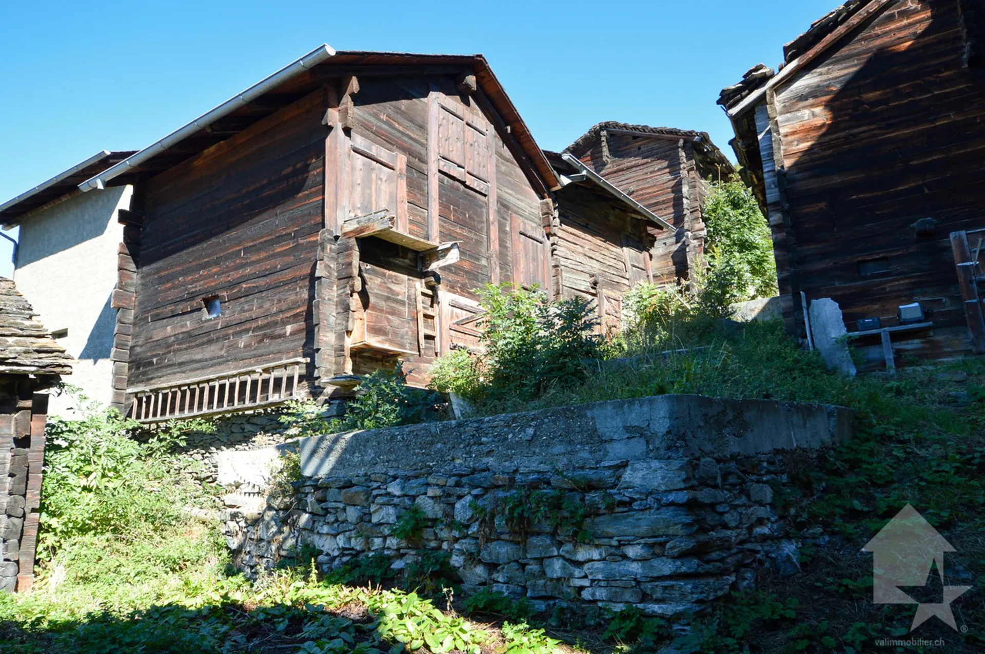 Image 3