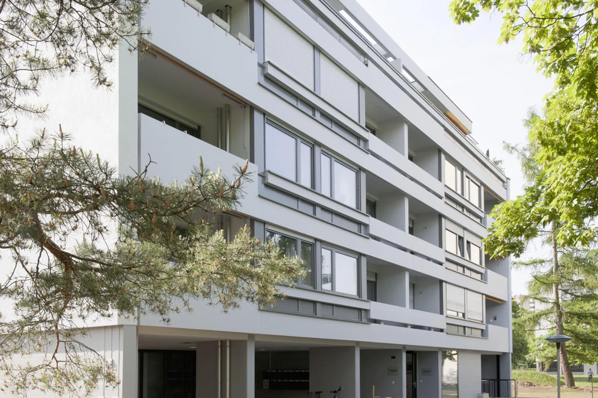 Grosse Familienwohnung in Reinach an angenehmer Lage