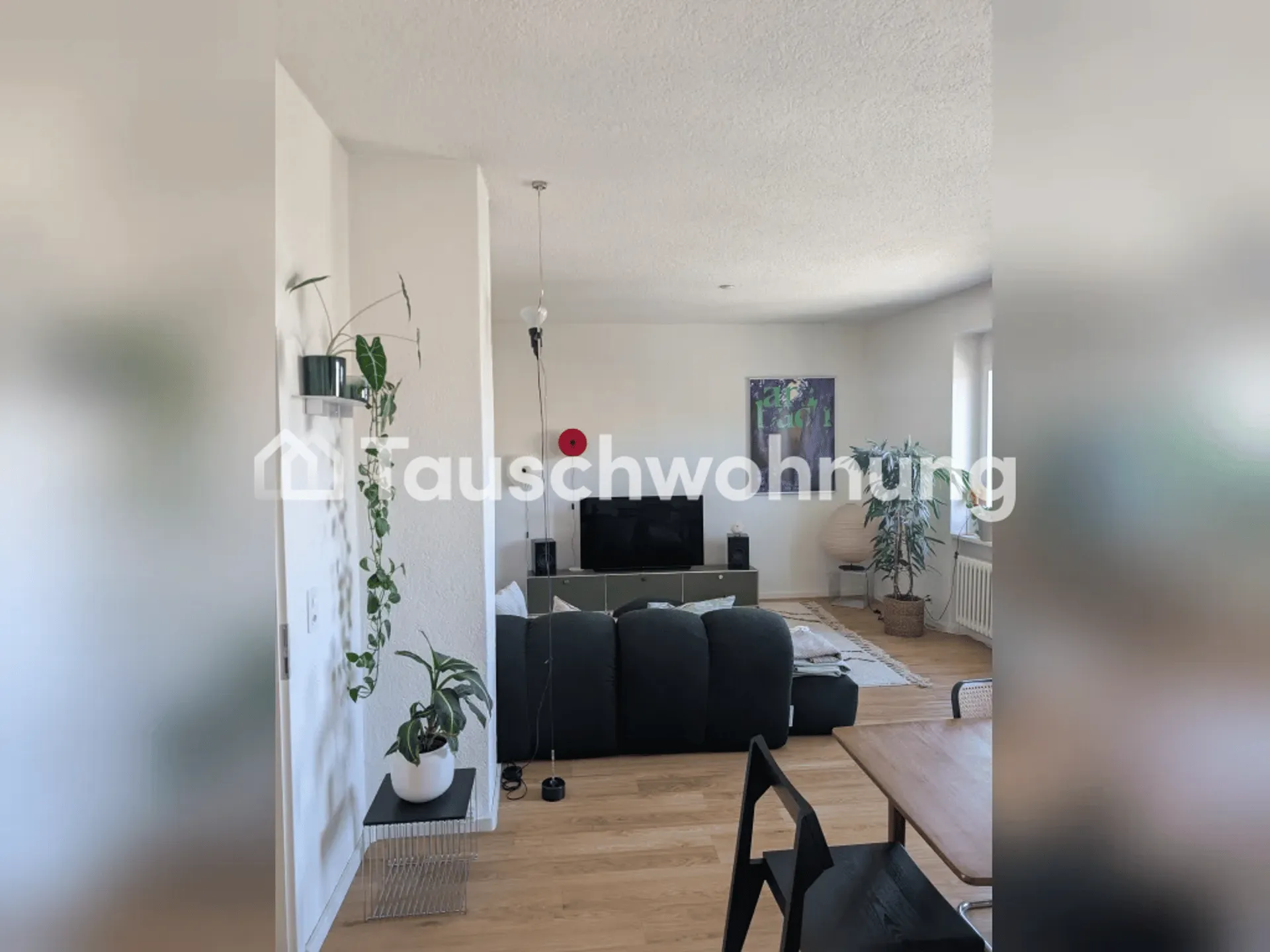 Helle, grosszügige  3-Zi-Wohnung beim Lochergut