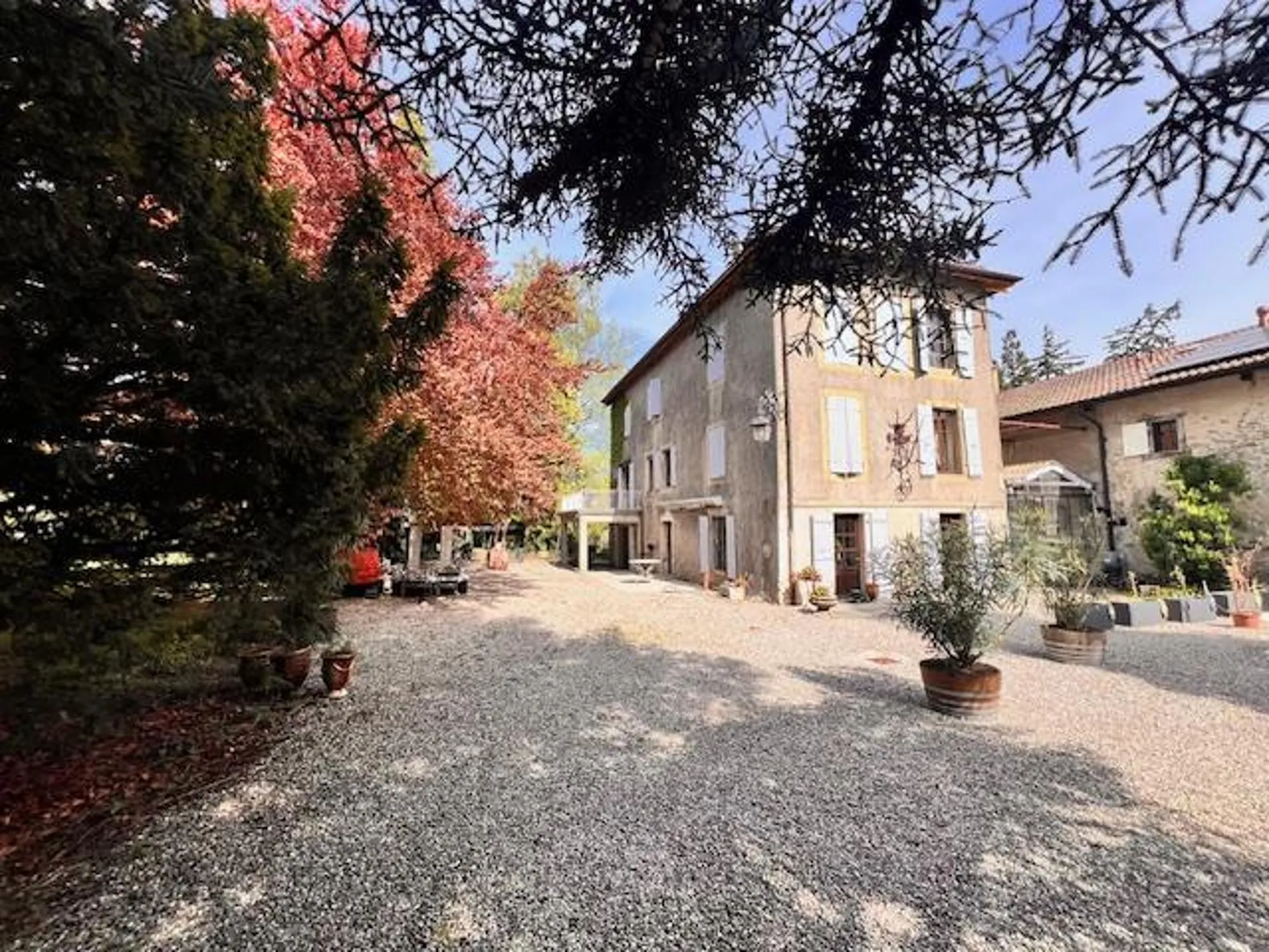 Image 11