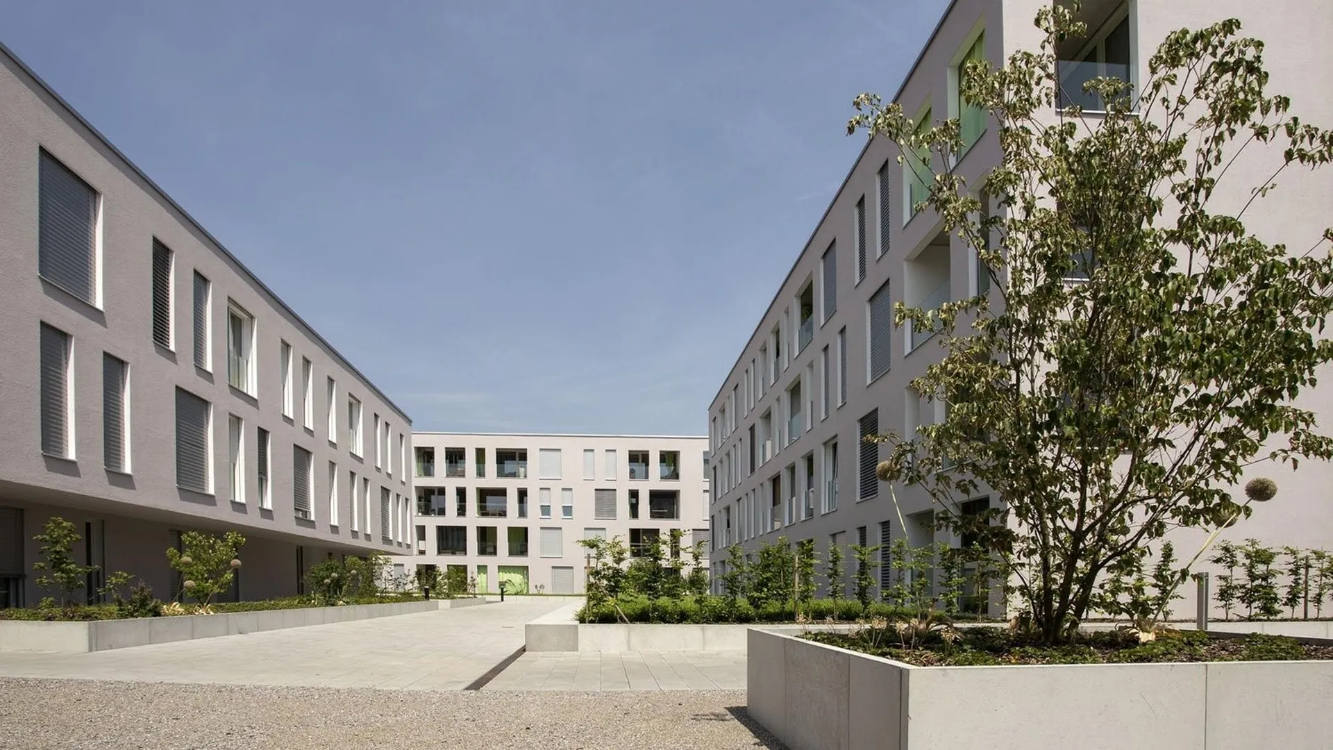 Helle 2.5-Zimmerwohnung im 1. OG