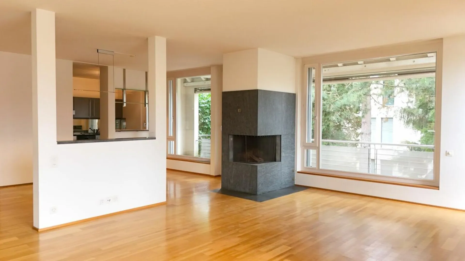 Renovierte Wohnung mit Cheminée, 2 Terrassen und Ziergarten - Bruderholz