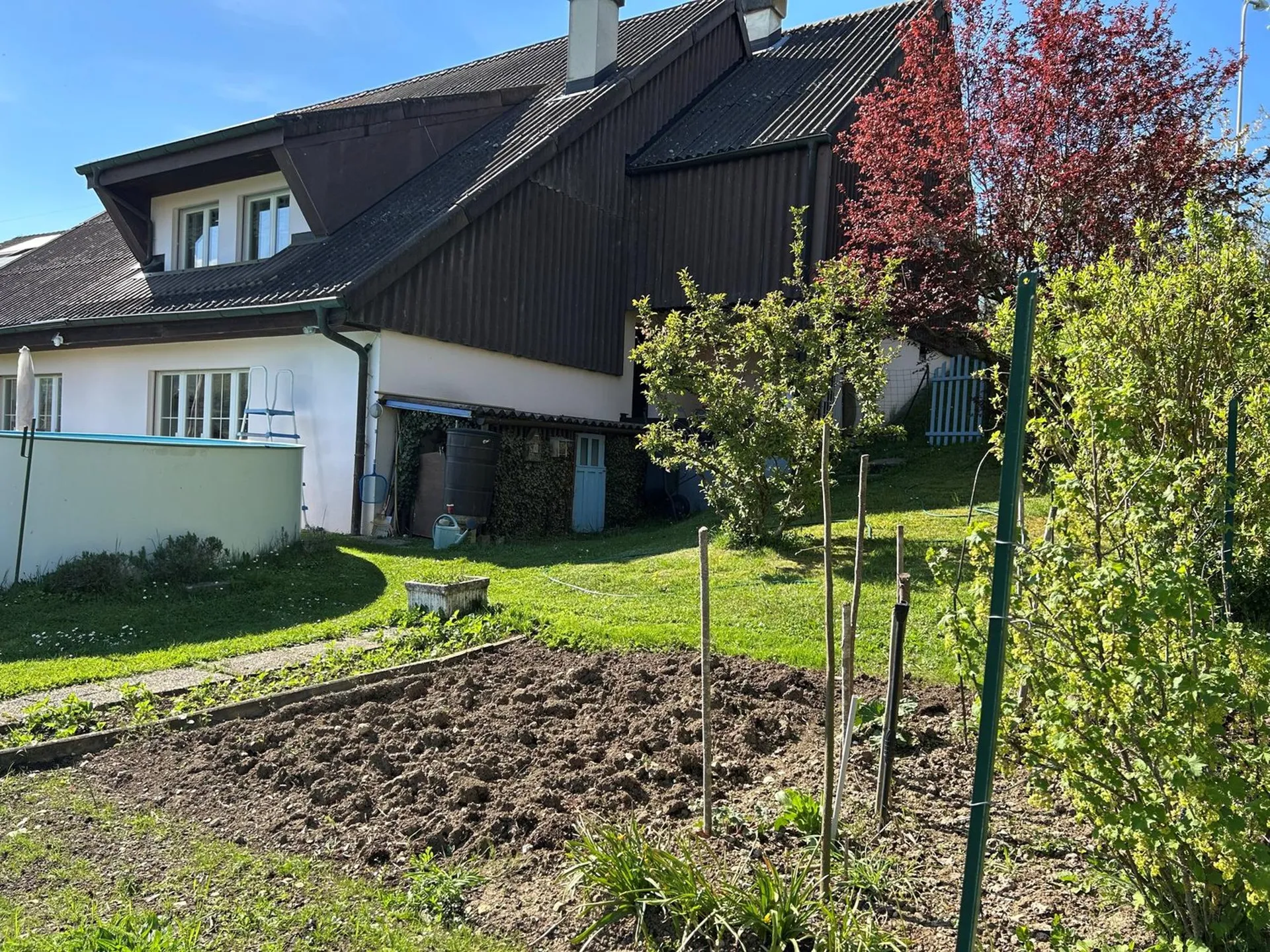 Bild 19