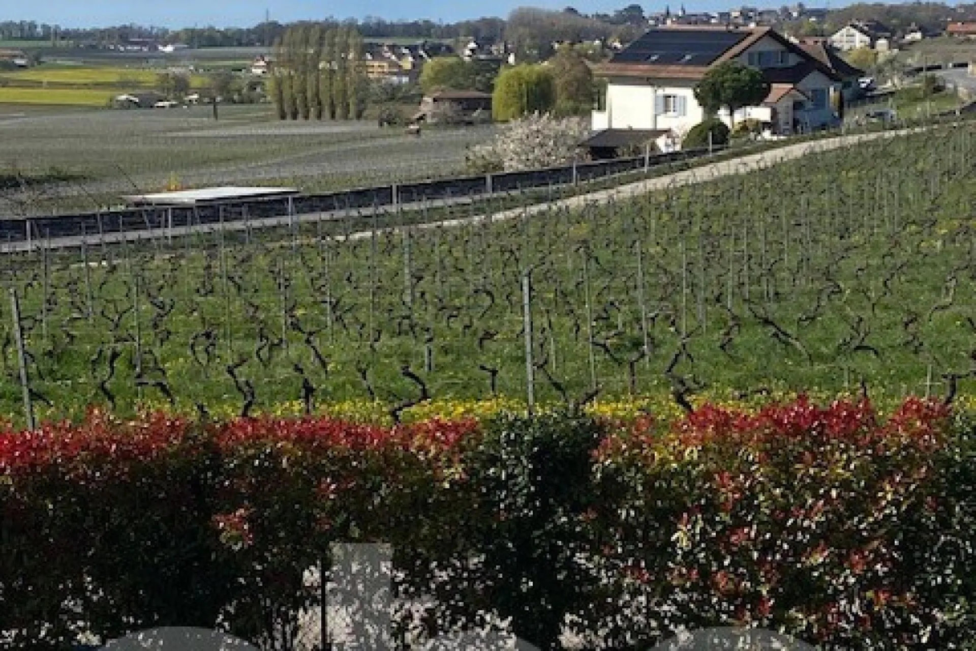Bild 5