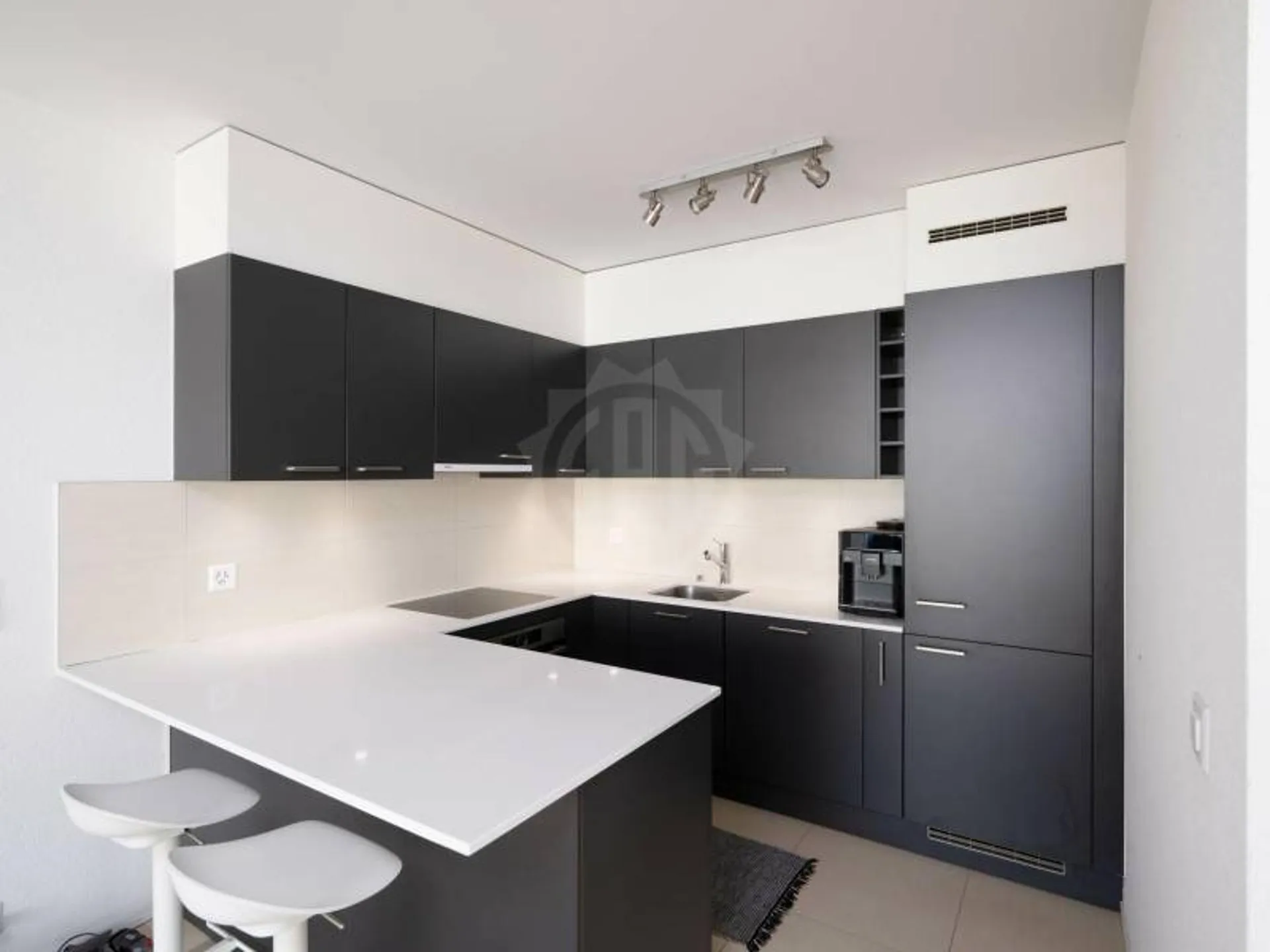 Magnifique appartement - Carouge GE