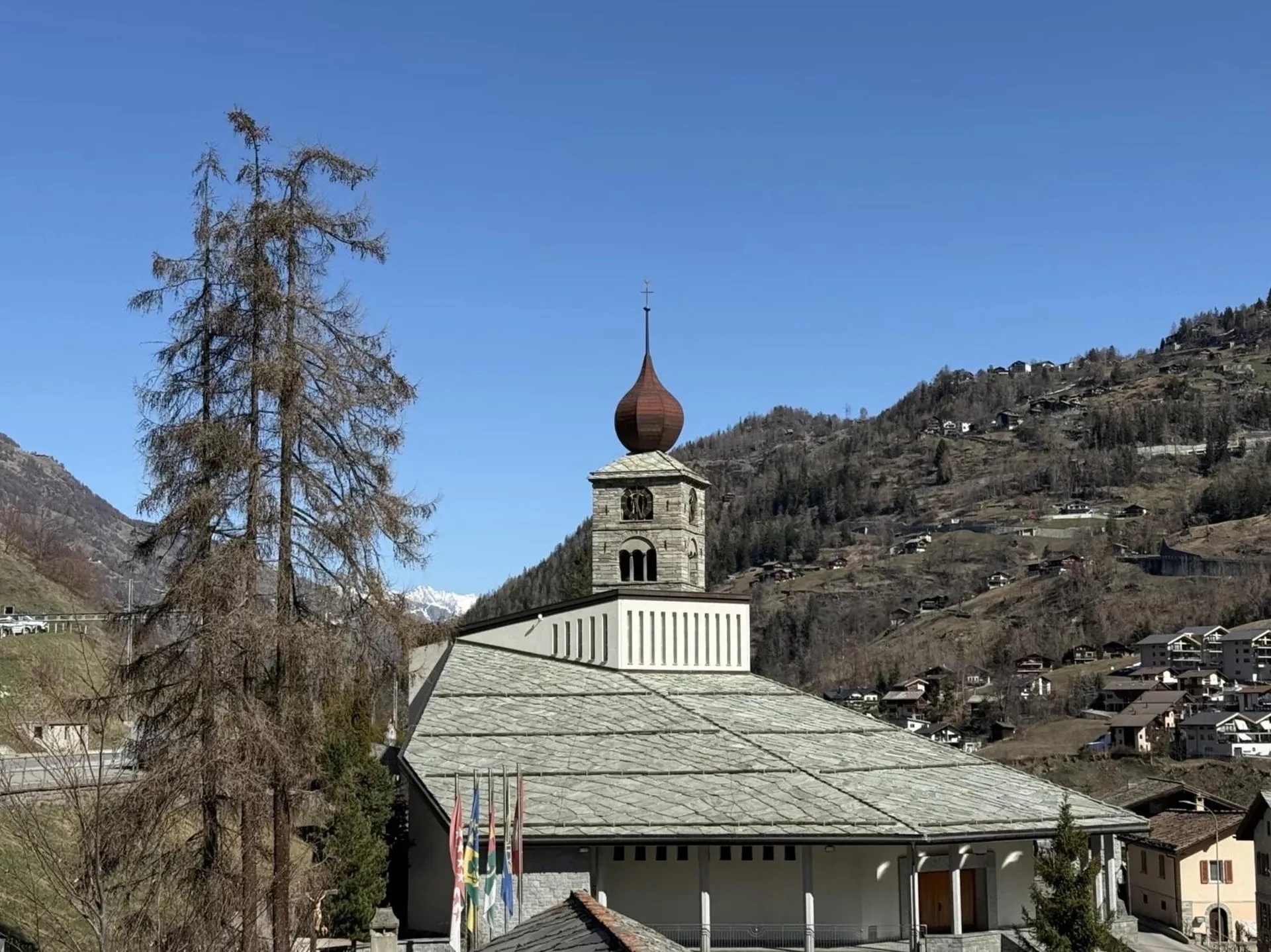 Image 12