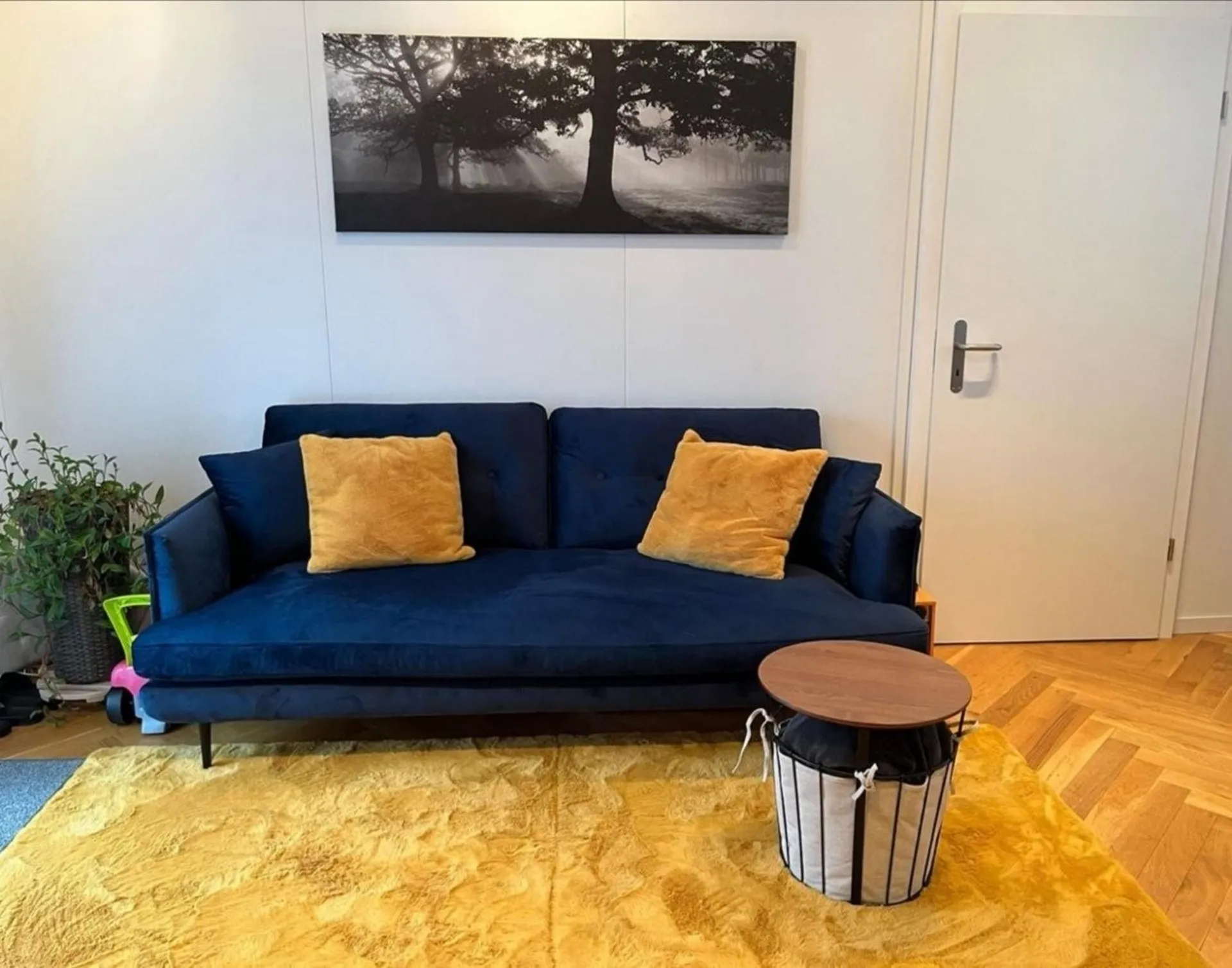 Tolle renovierte 2-Zimmerwohnung
