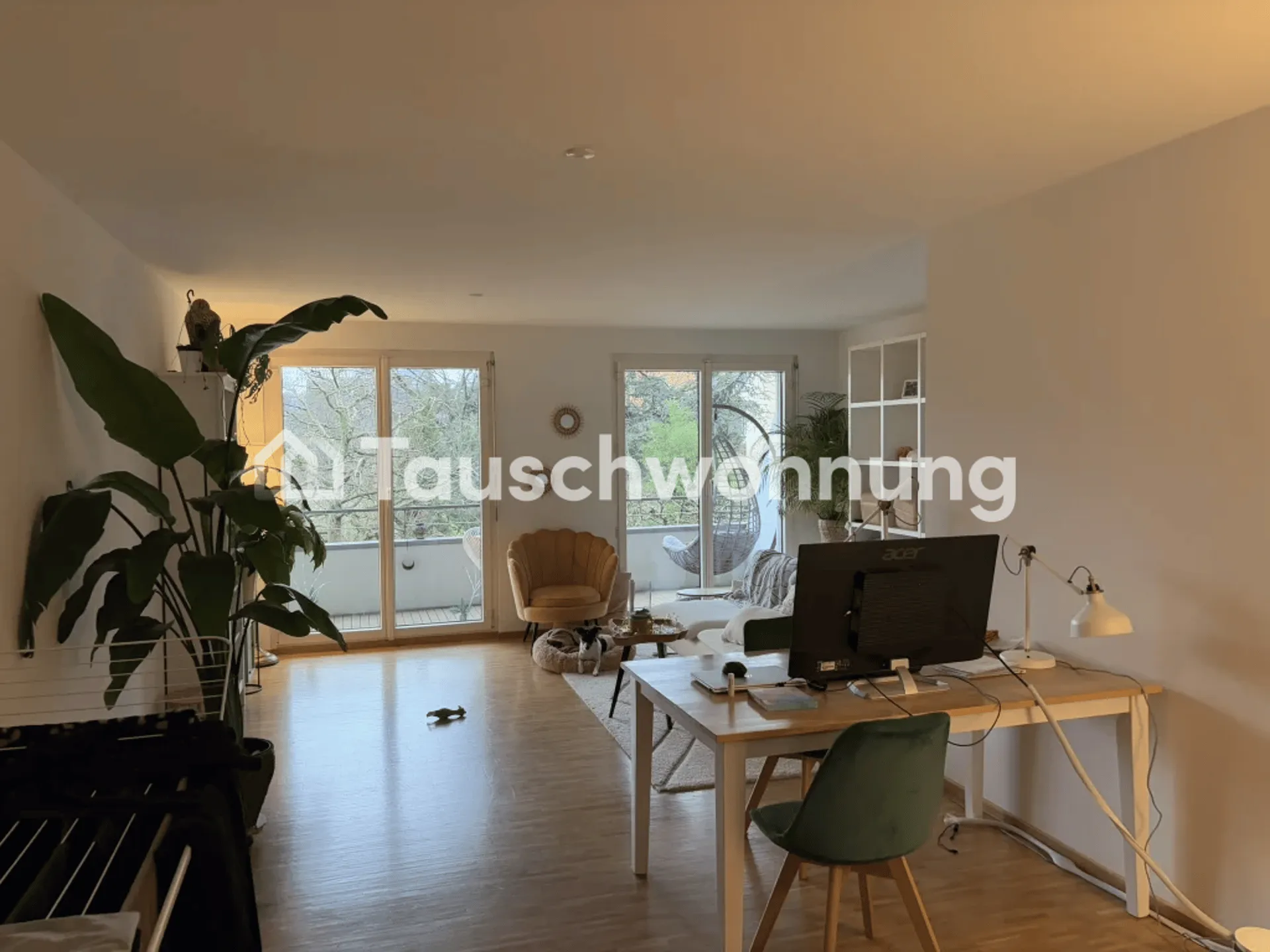 suche kleinere Wohnung in Altstetten, 3Zi. Kreis 9