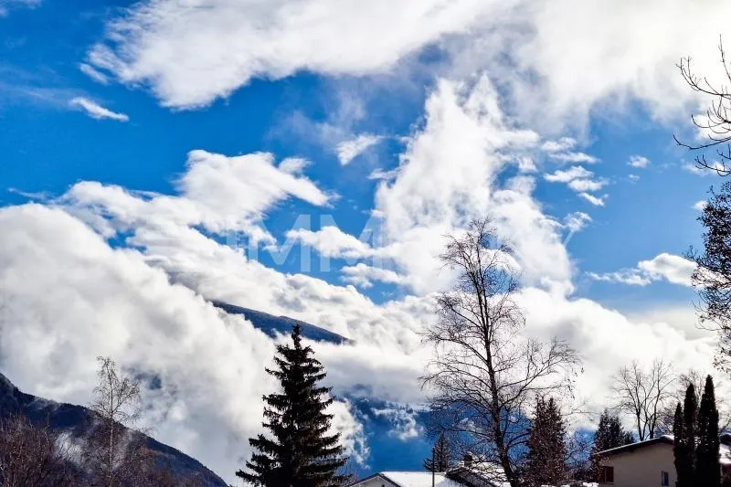 Un grand bol d’air frais (Lot E)