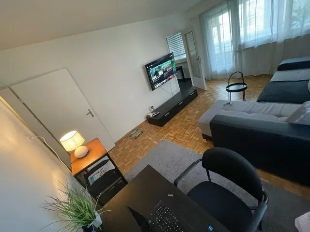 3½ ZI-WOHNUNG IN BOTTMINGEN (BL), MÖBLIERT, TEMPORÄR