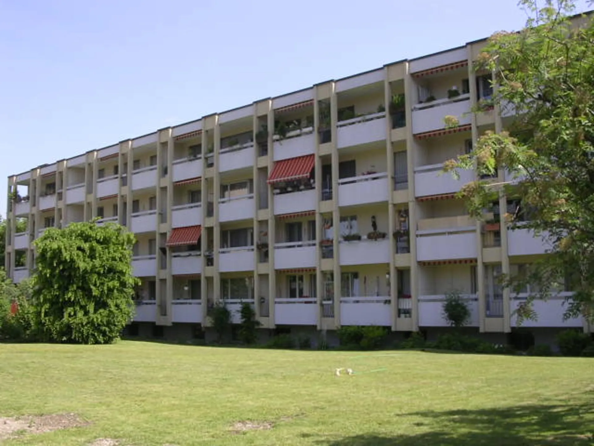 helle 1.5-Zimmerwohnung mit Charme in Suhr