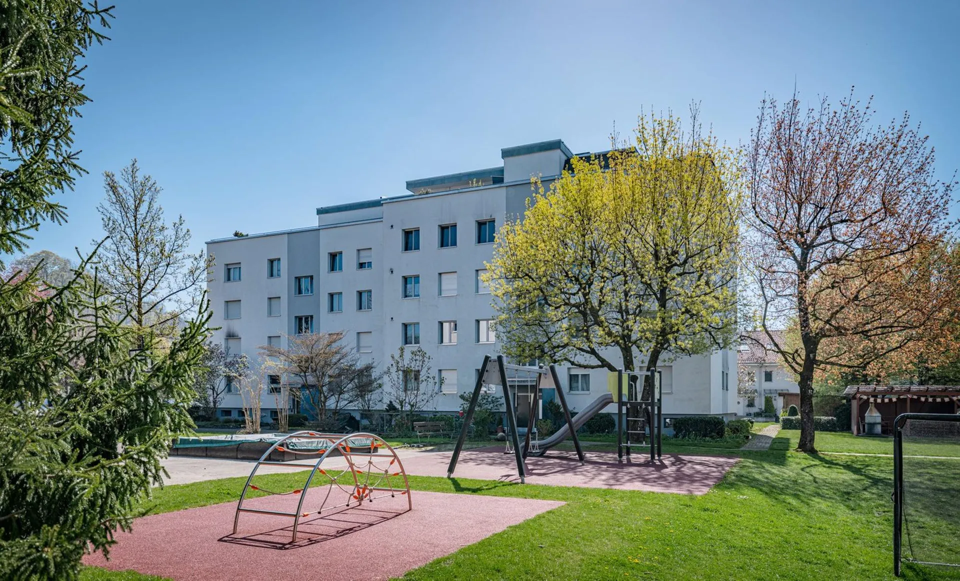 Image 12