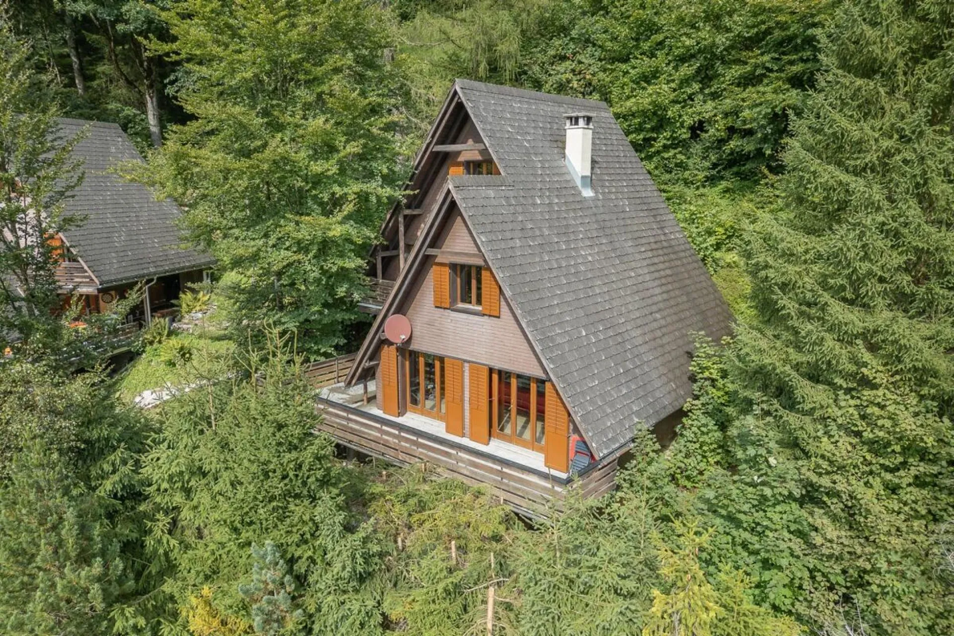 5.5-Zi-Ferienhaus im Tannenwald