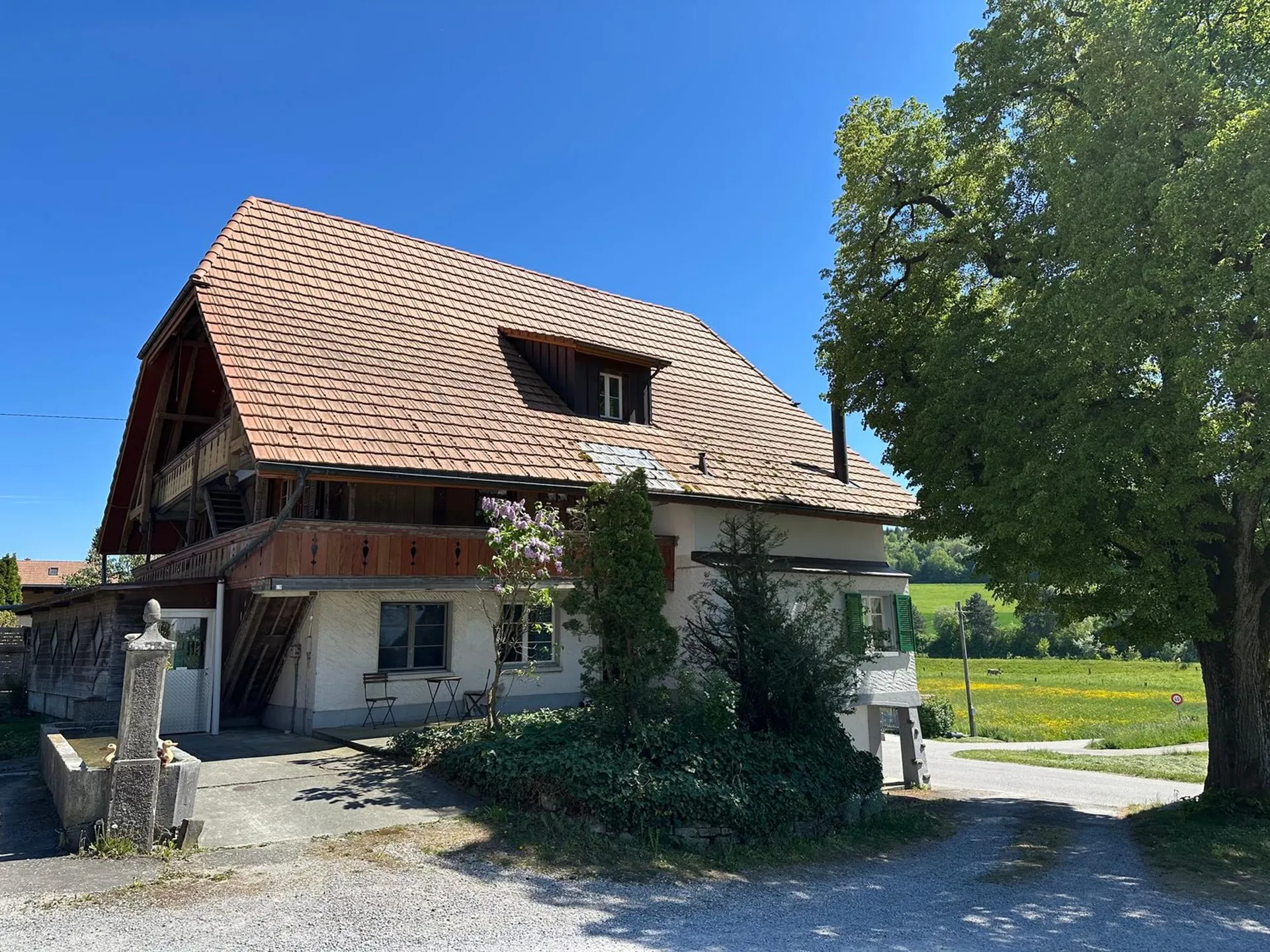 Image 12