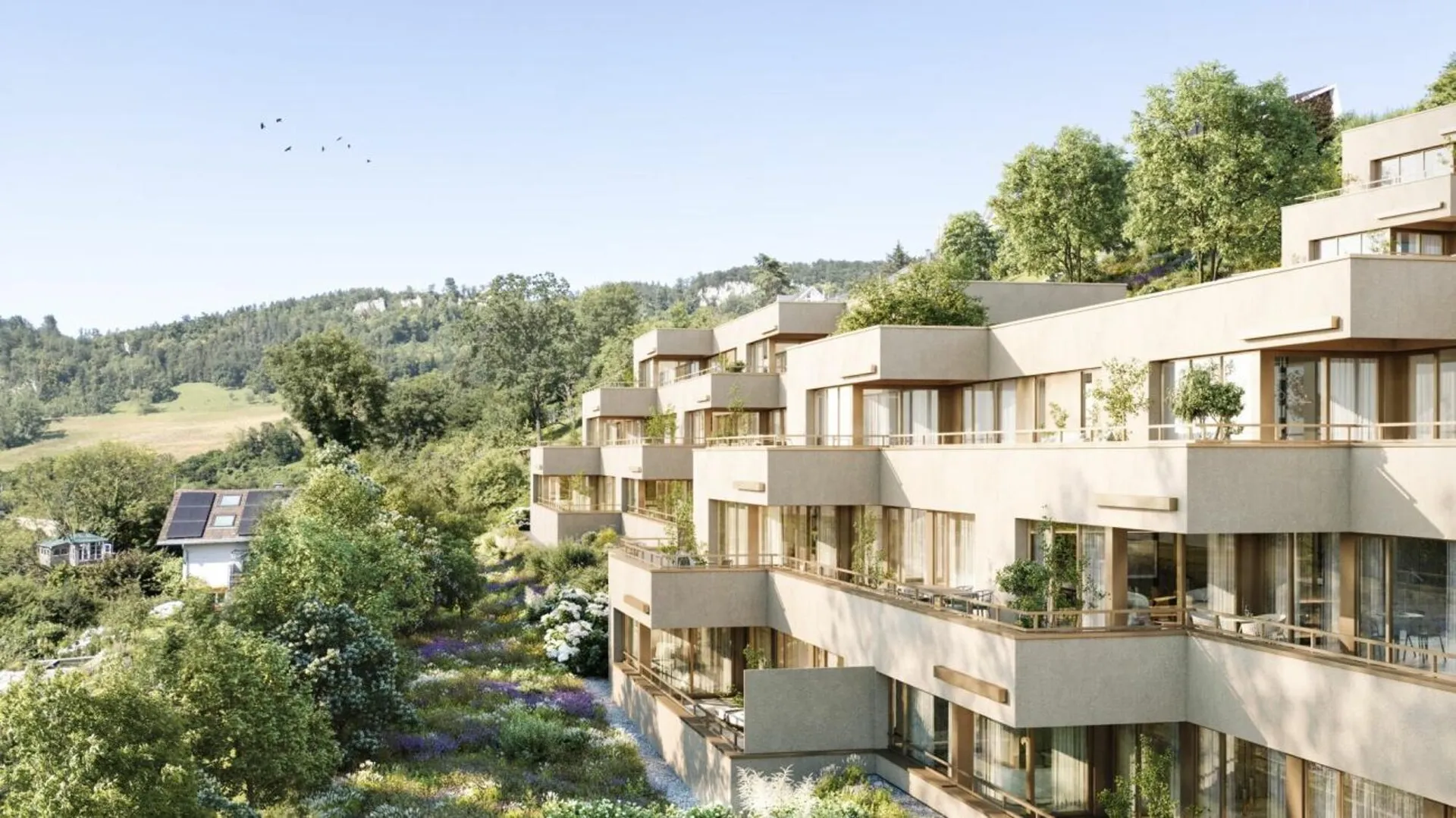 Helle Terrassenwohnungen | Florea
