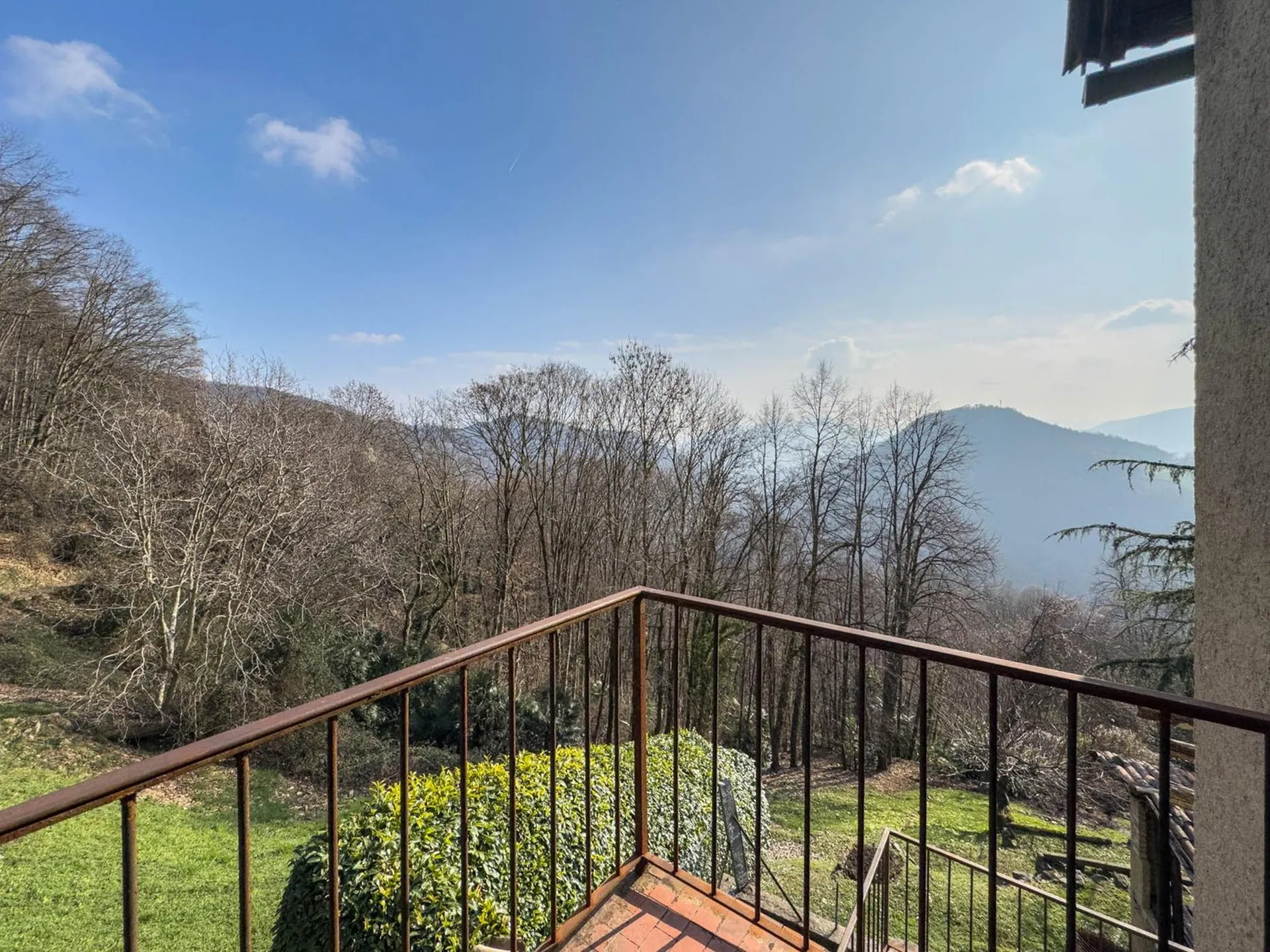 Immagine 5