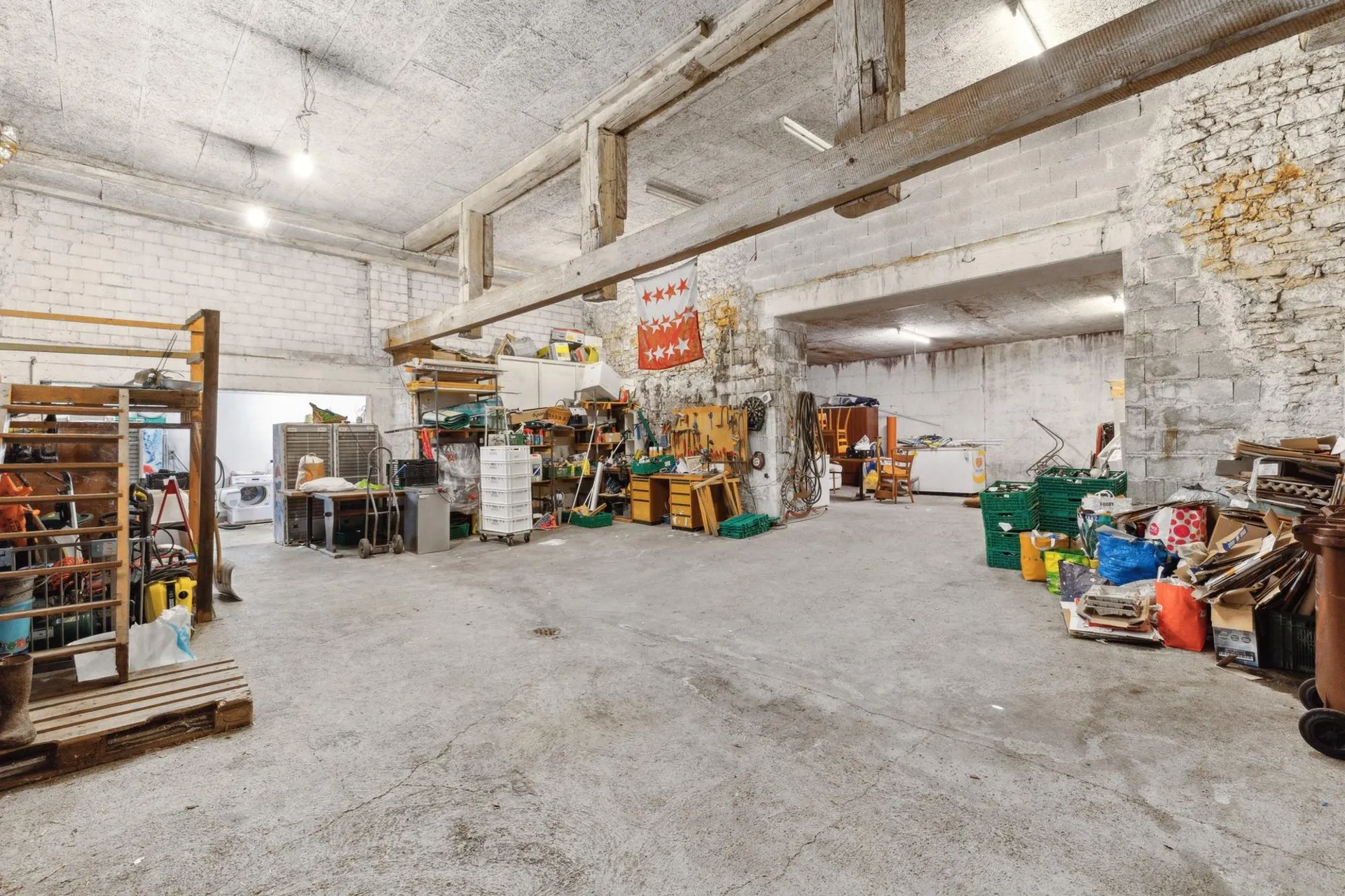 Immagine 5