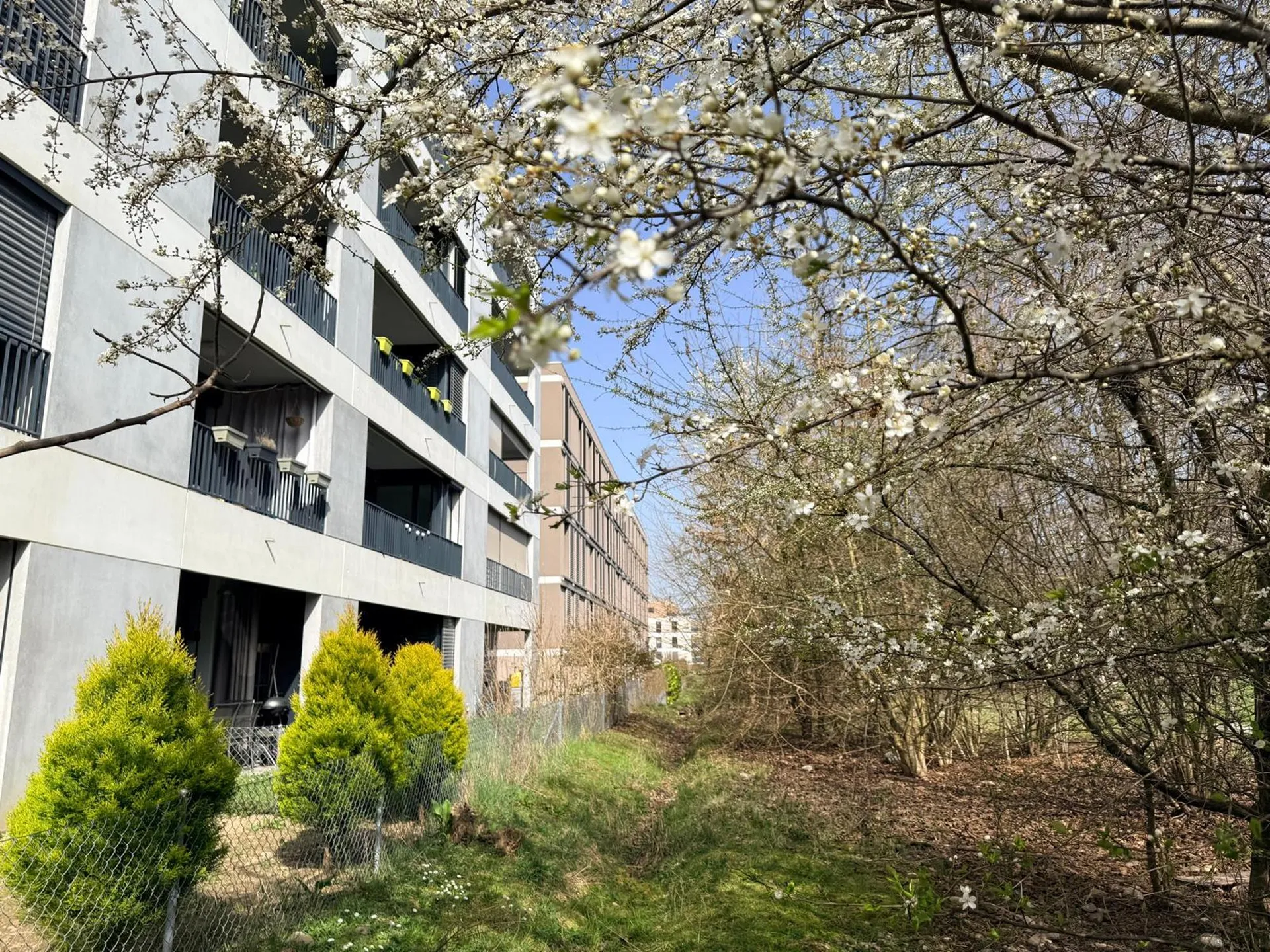 Appartement moderne de 4 pièces aux portes de Genève - Meyrin