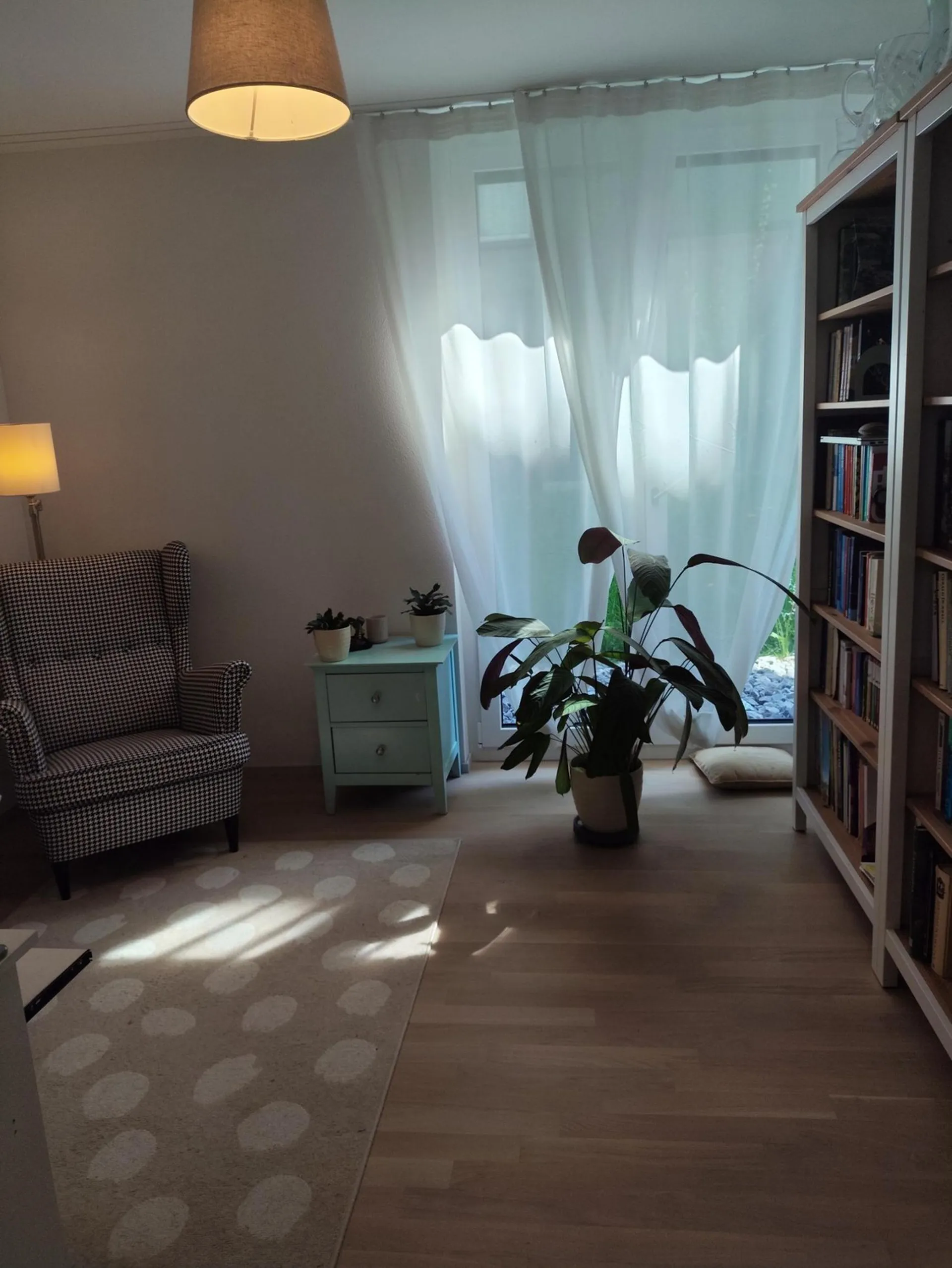 Image 7