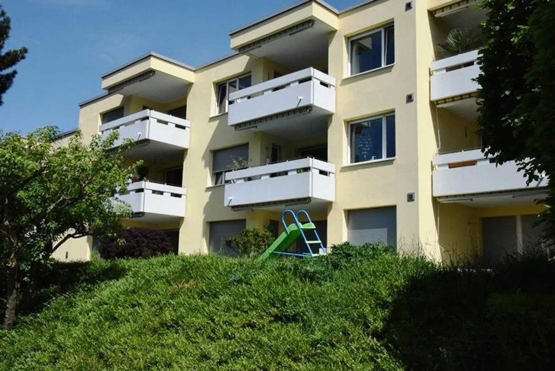 Image 7