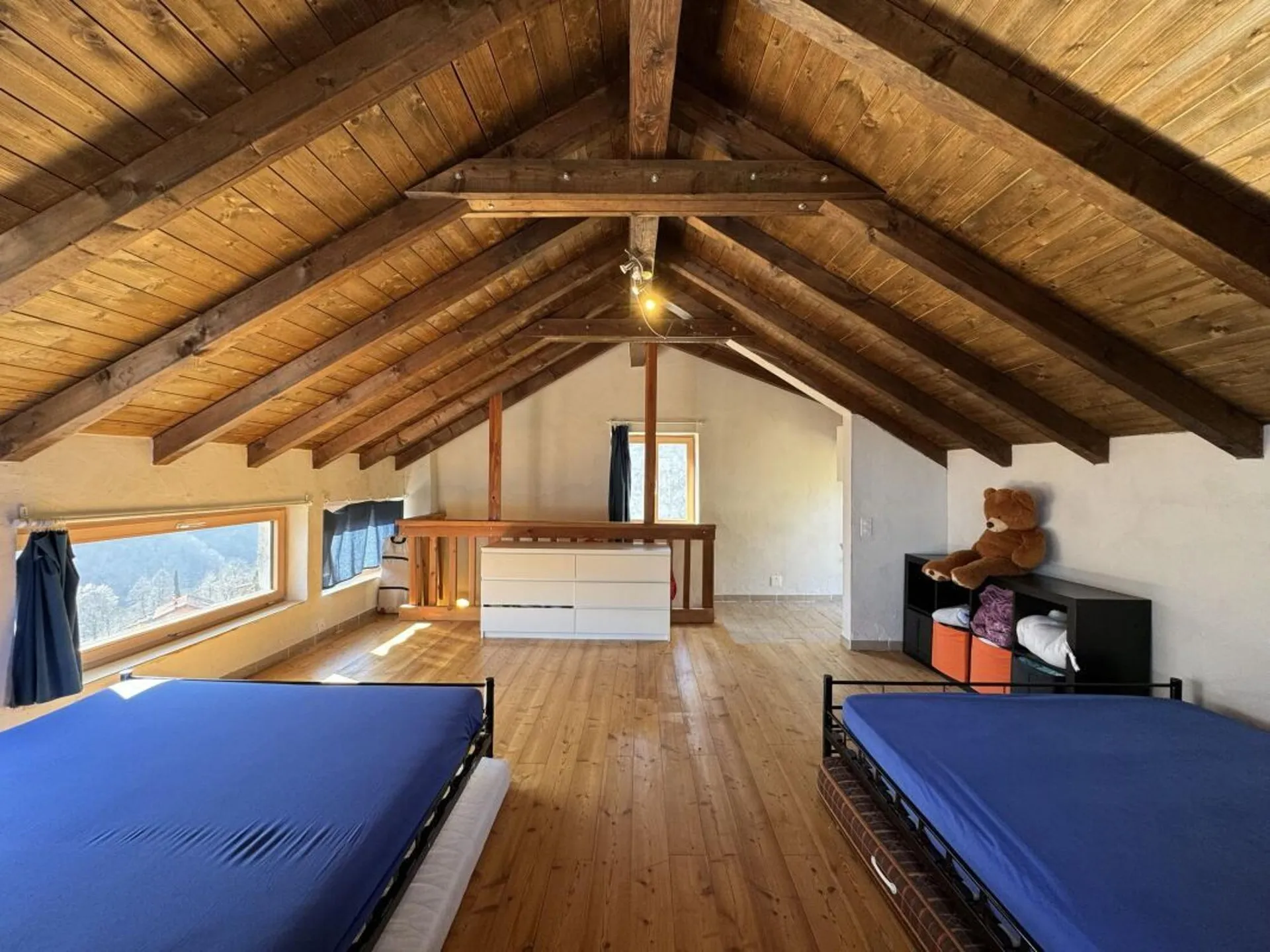 Image 6