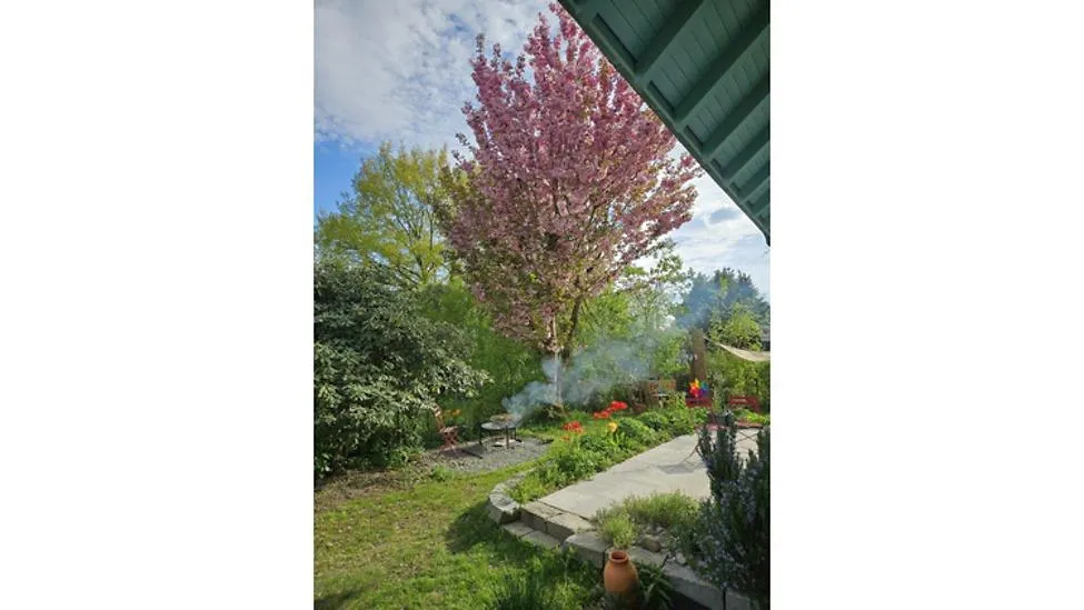 Image 9