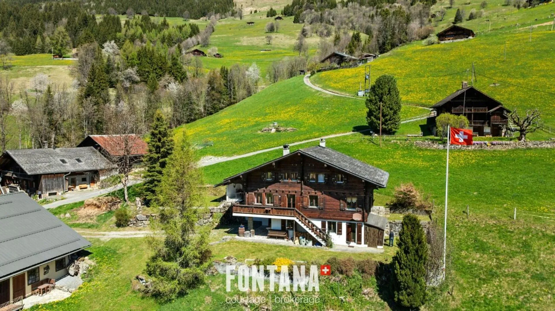 Chalet alpin