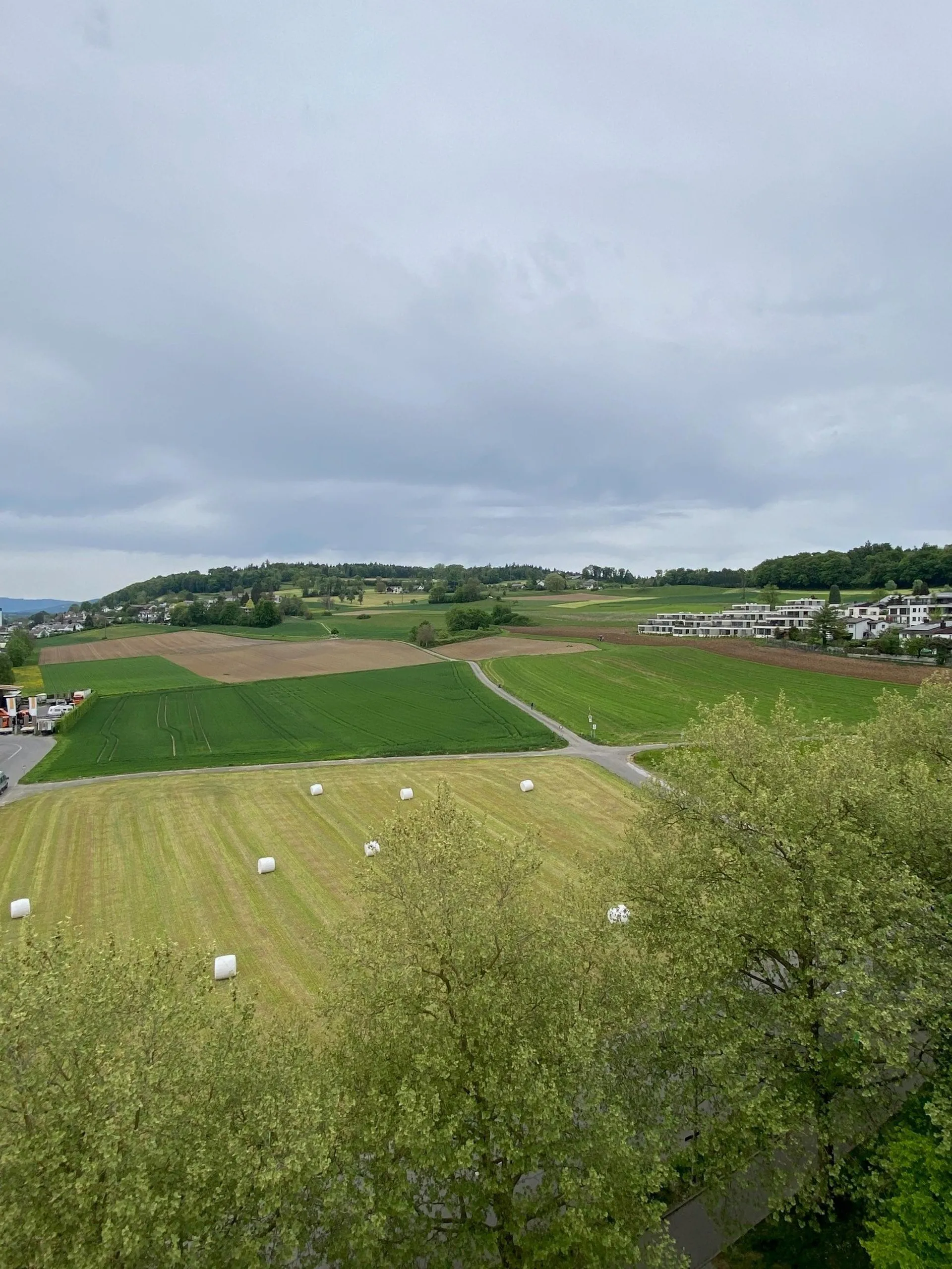 Image 14