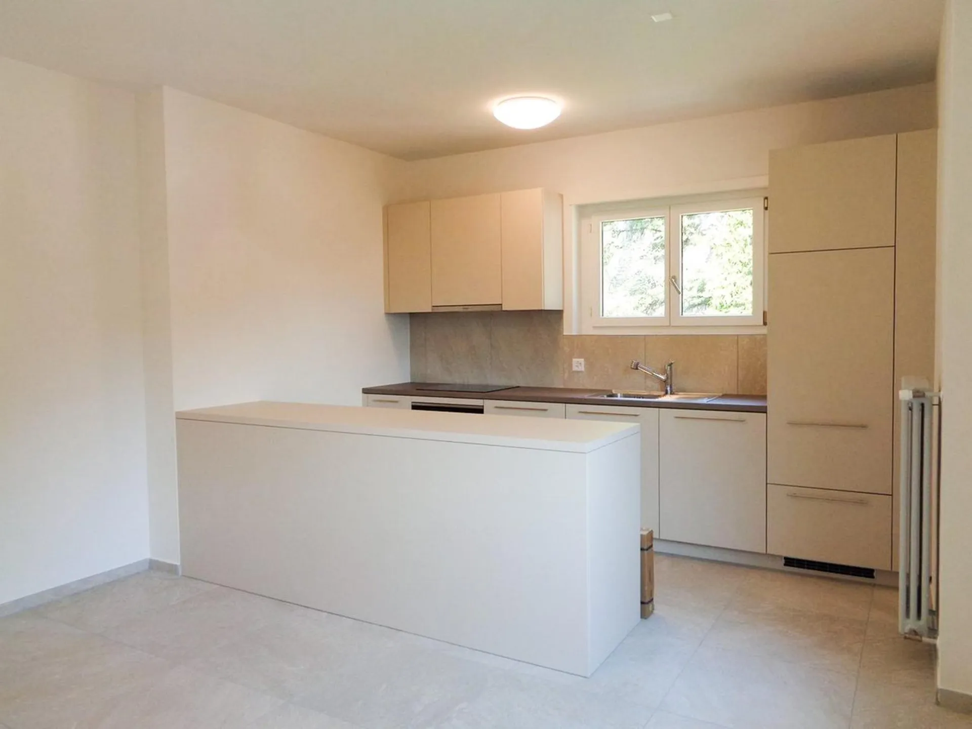 Bellinzona - Carasso - affittiamo 3.5 locali (ref.365-7)