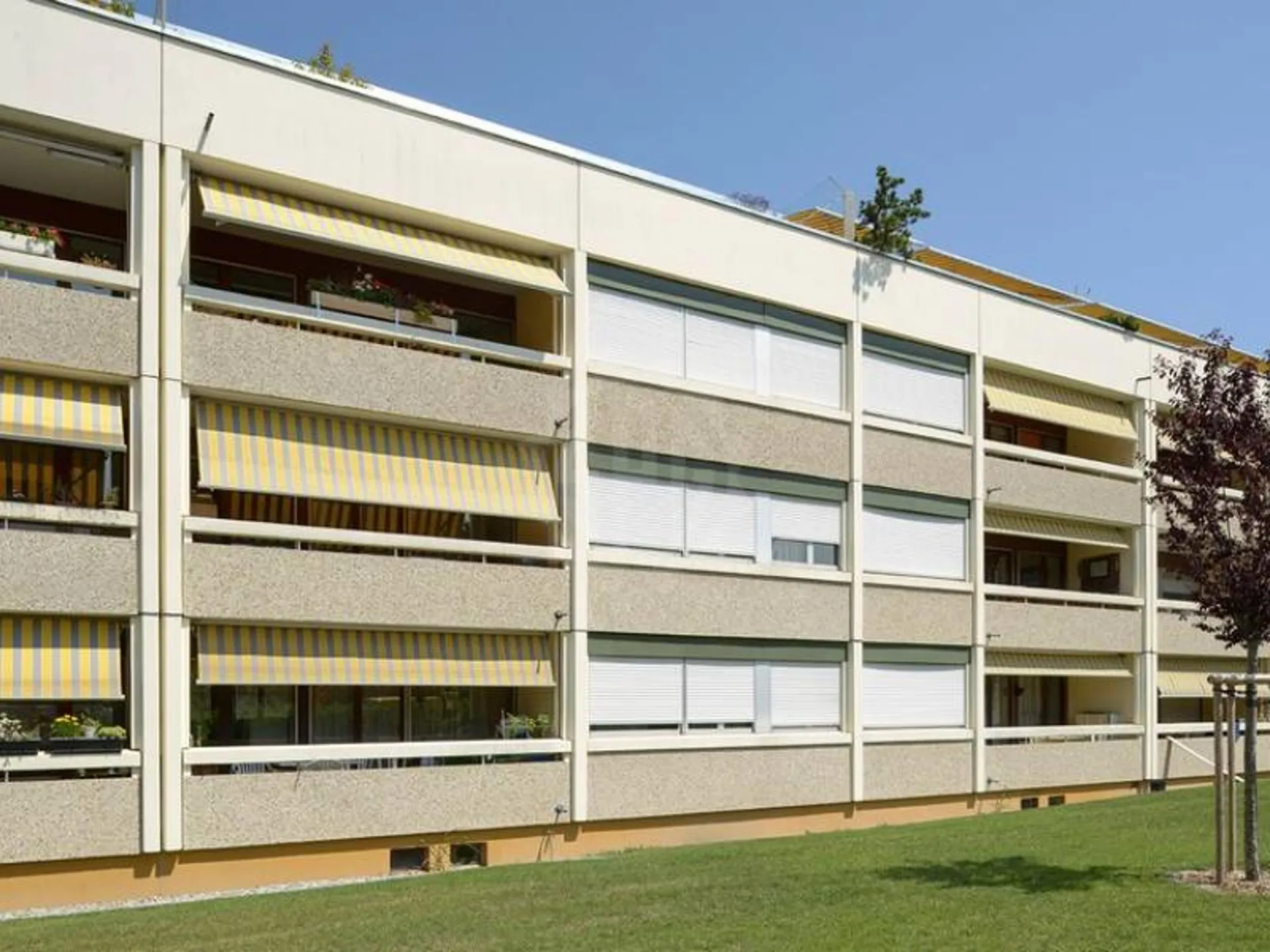 Charmant appartement - Onex