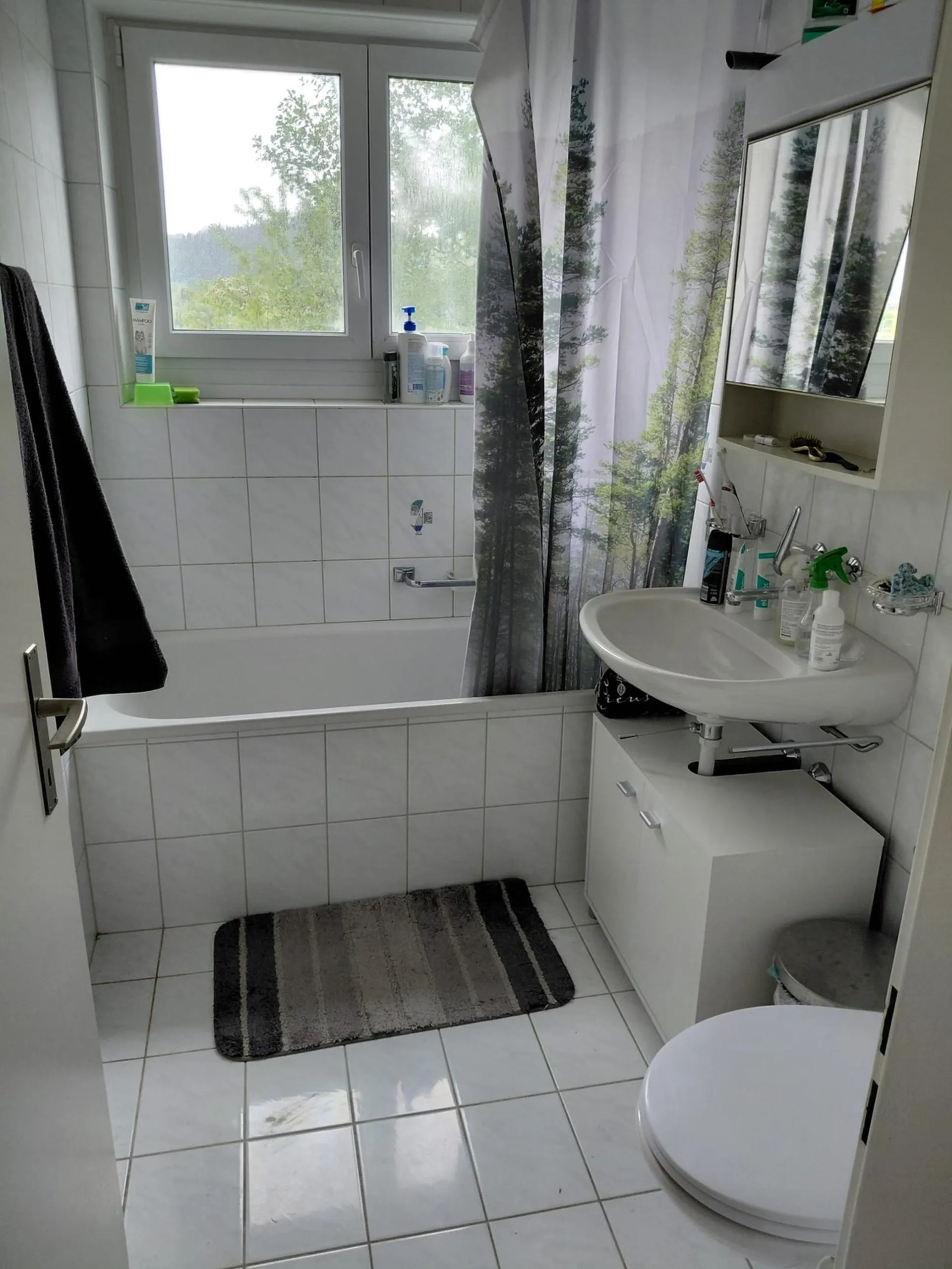 Image 8