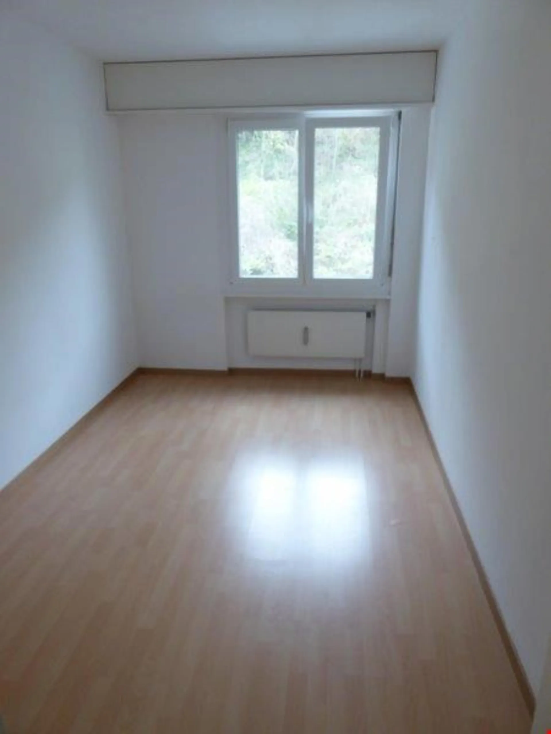 Renovierte 1-Z-Wohnung zu vermieten