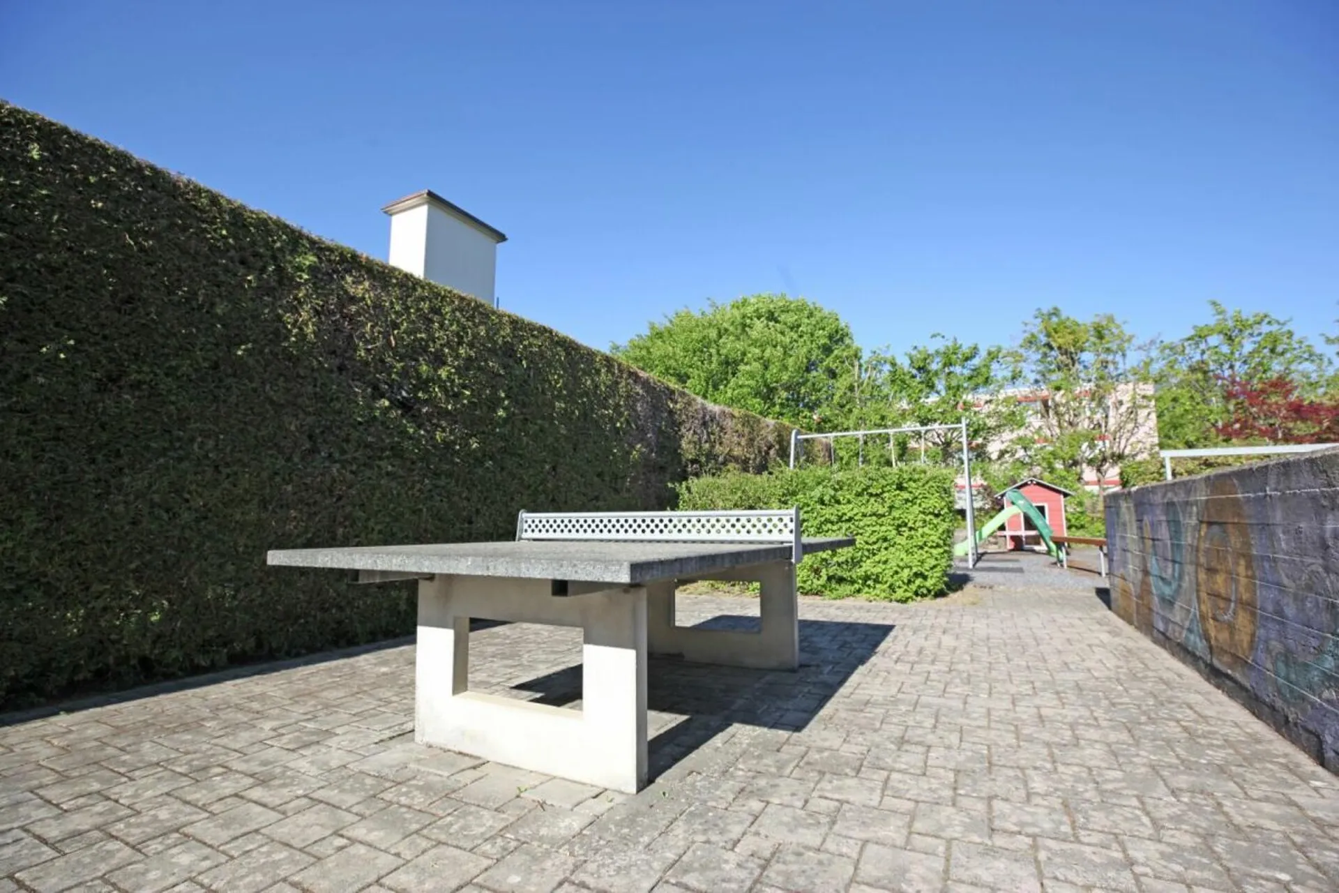 Image 13