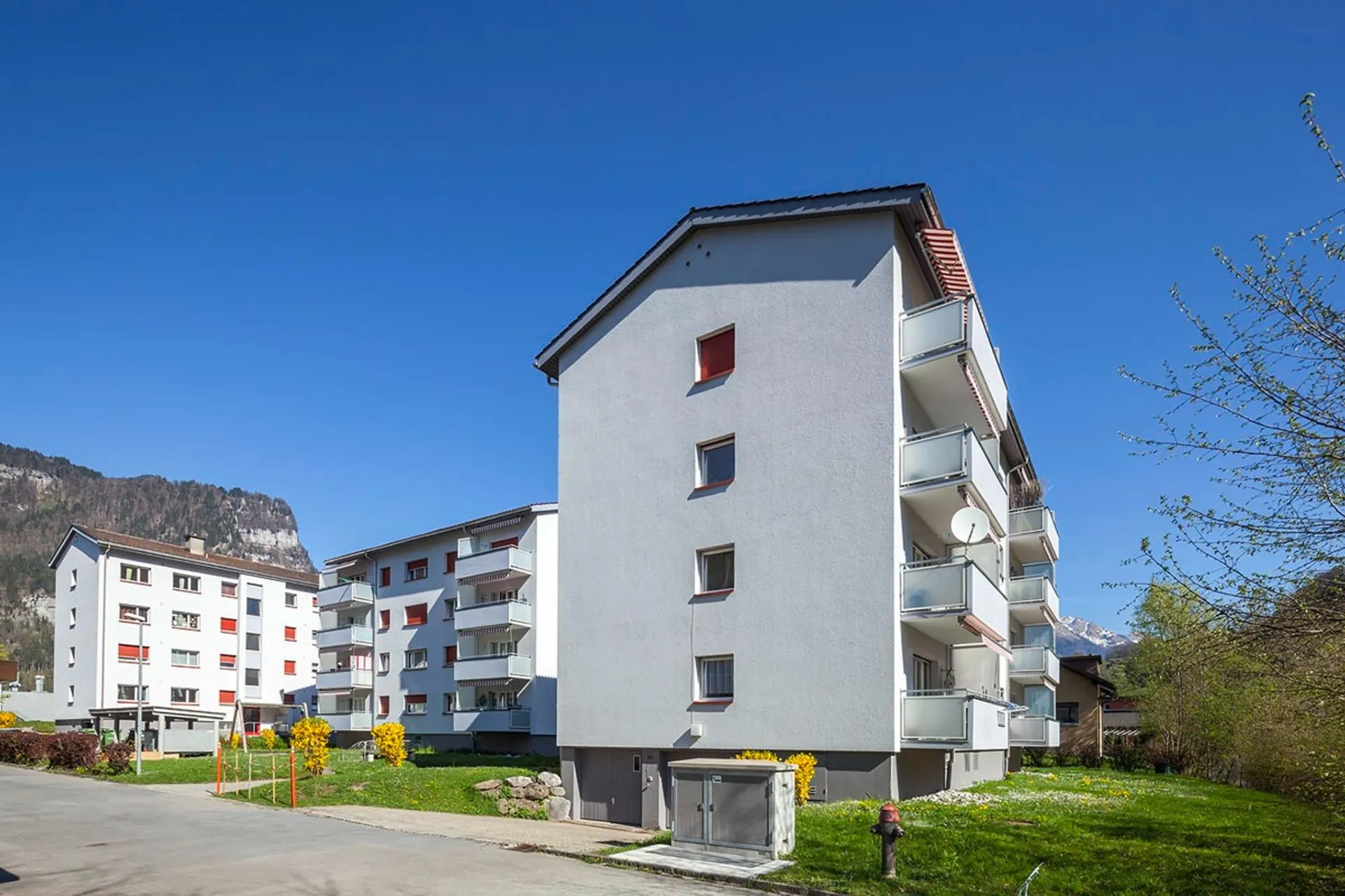Charmante Wohnung im Grünen
