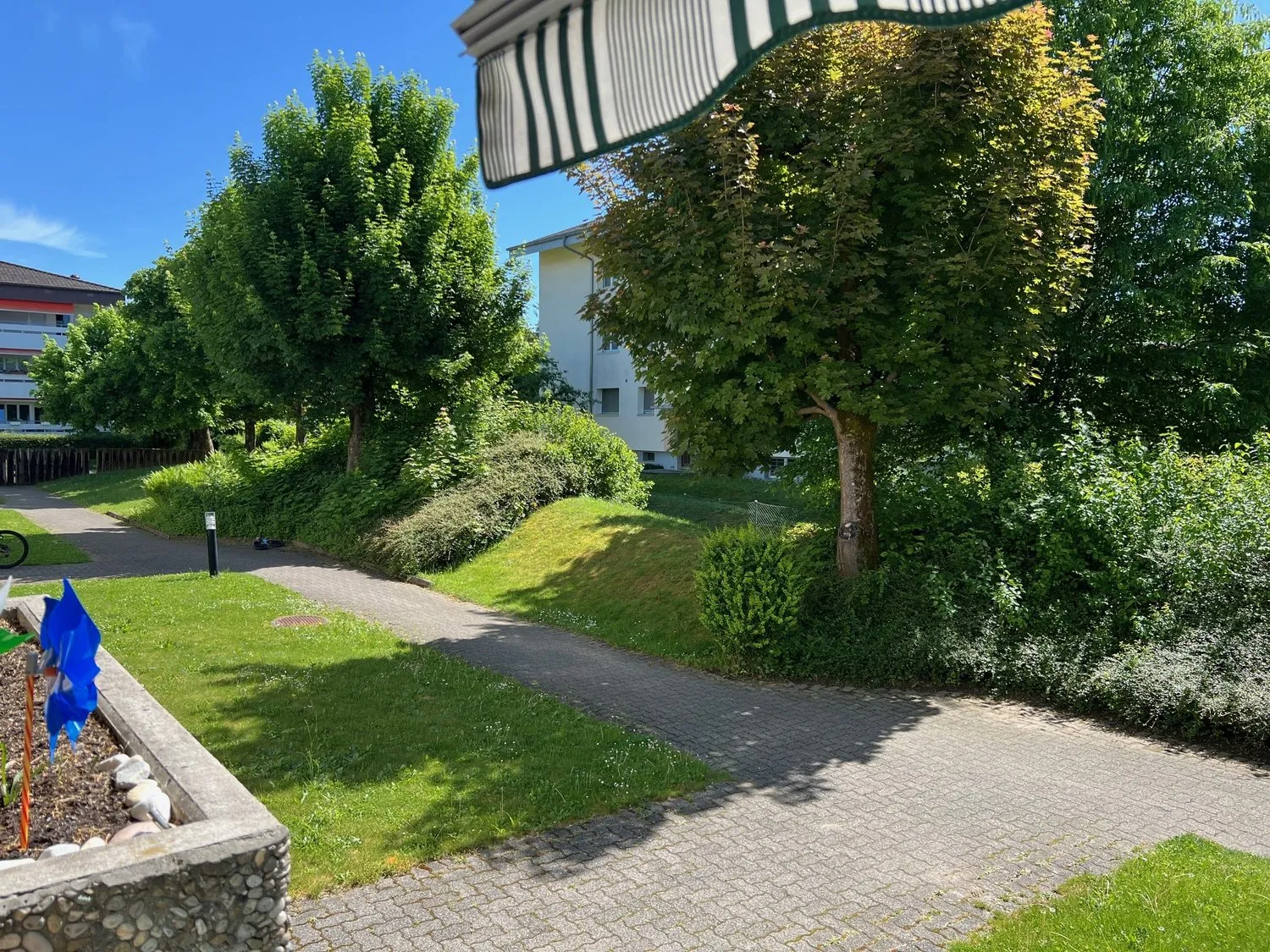 Image 20