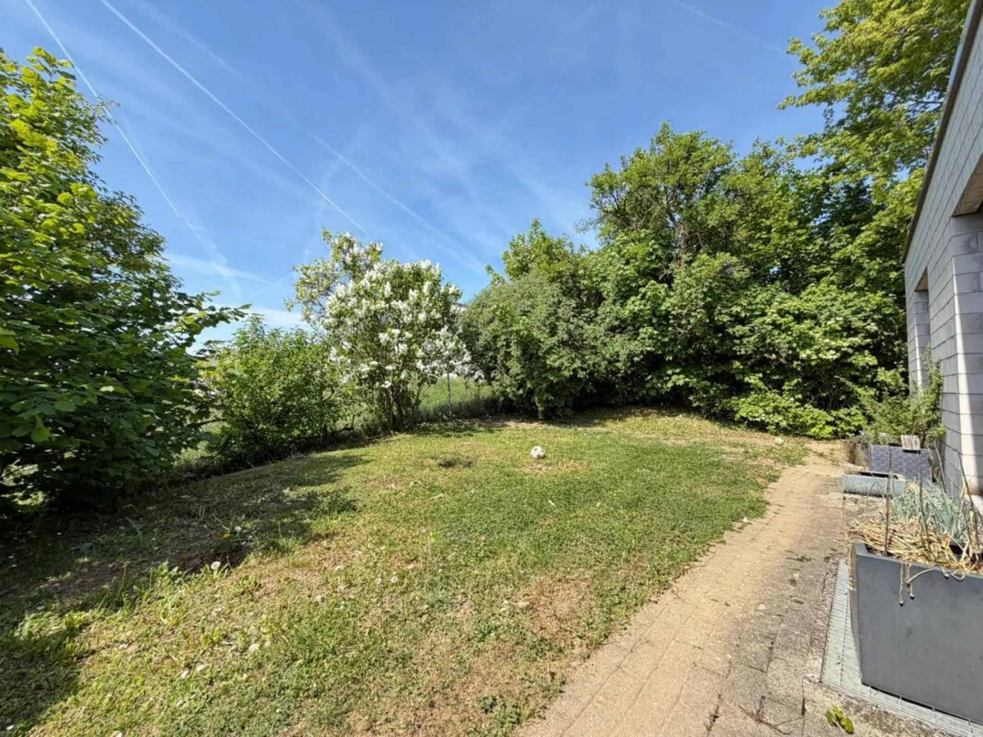 Image 14