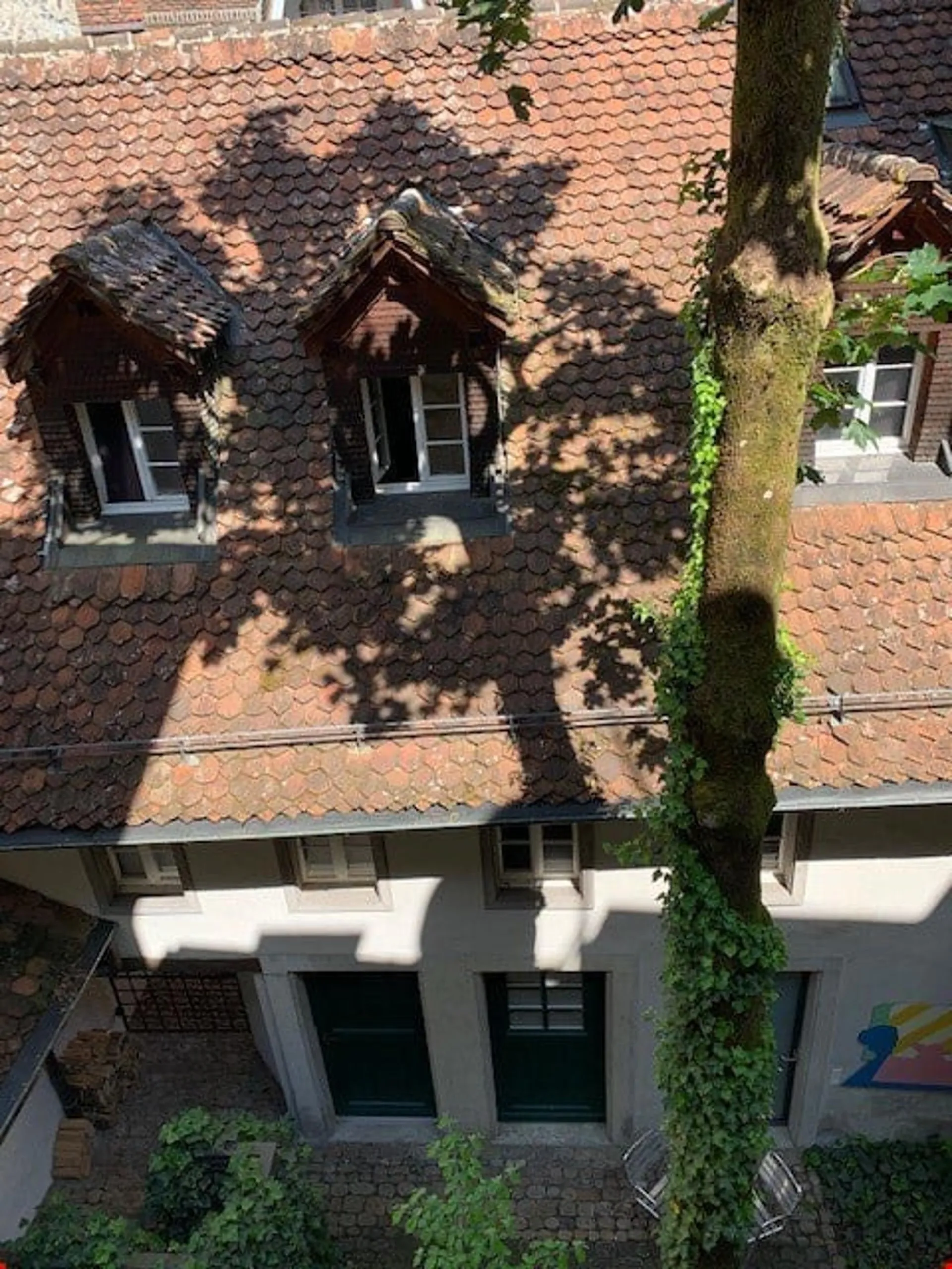 Image 14