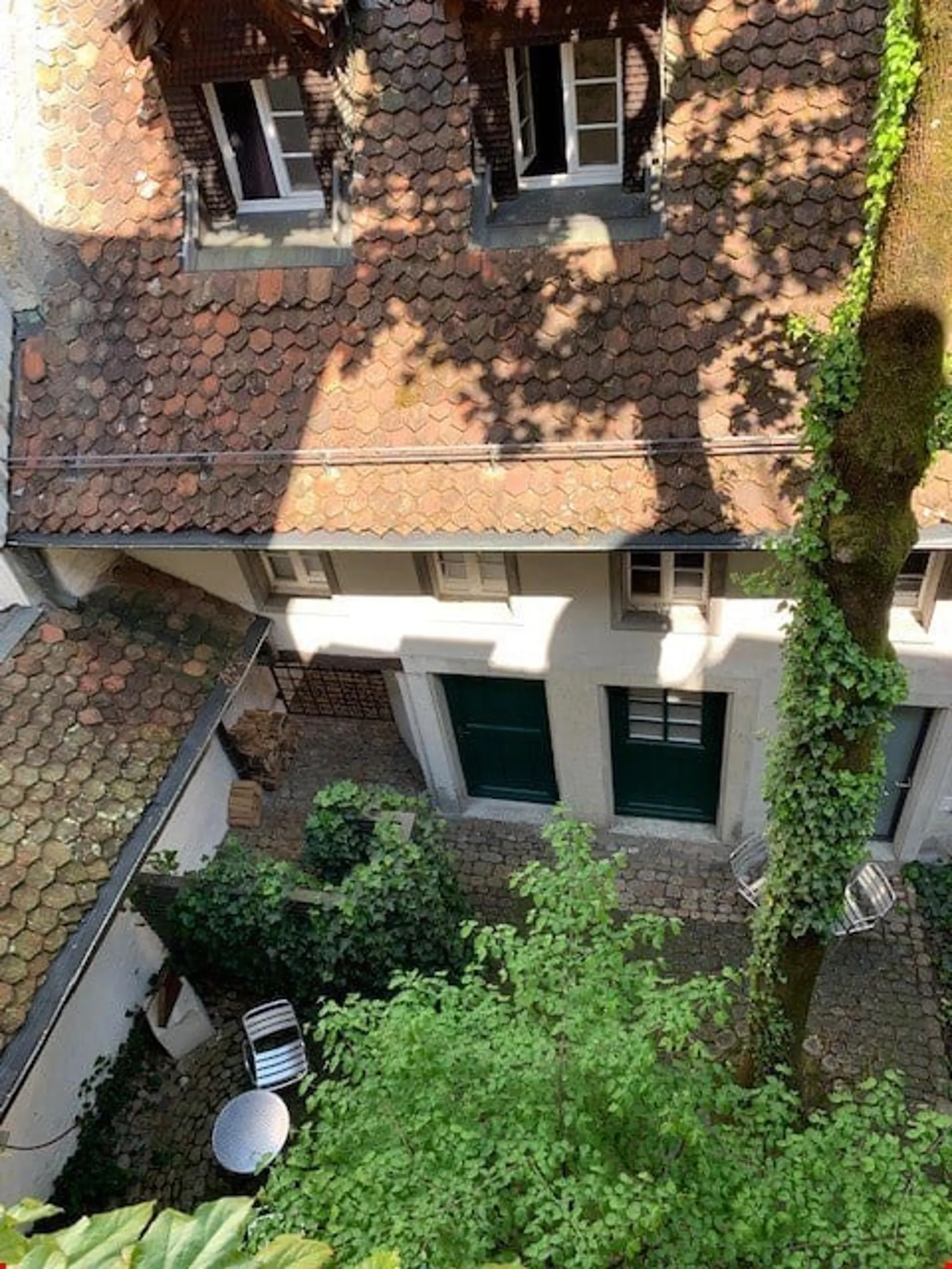 Image 15