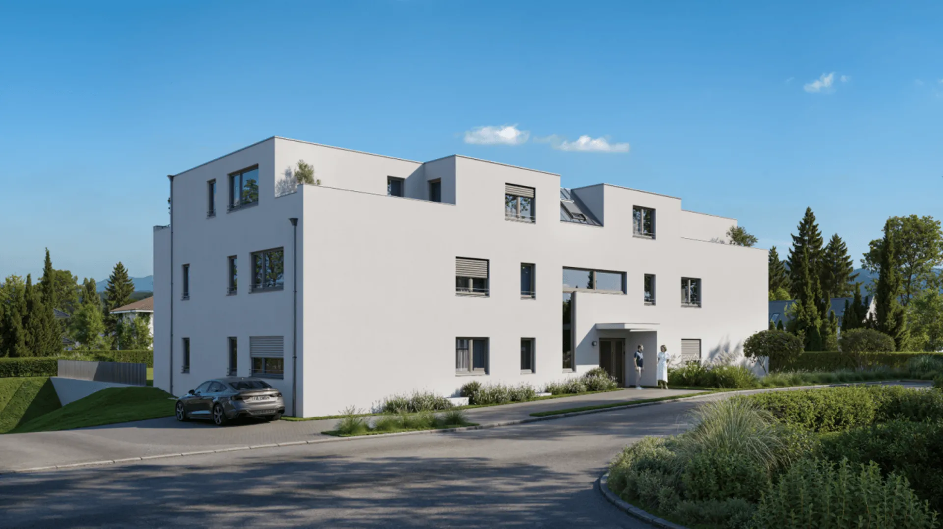 Immagine 6