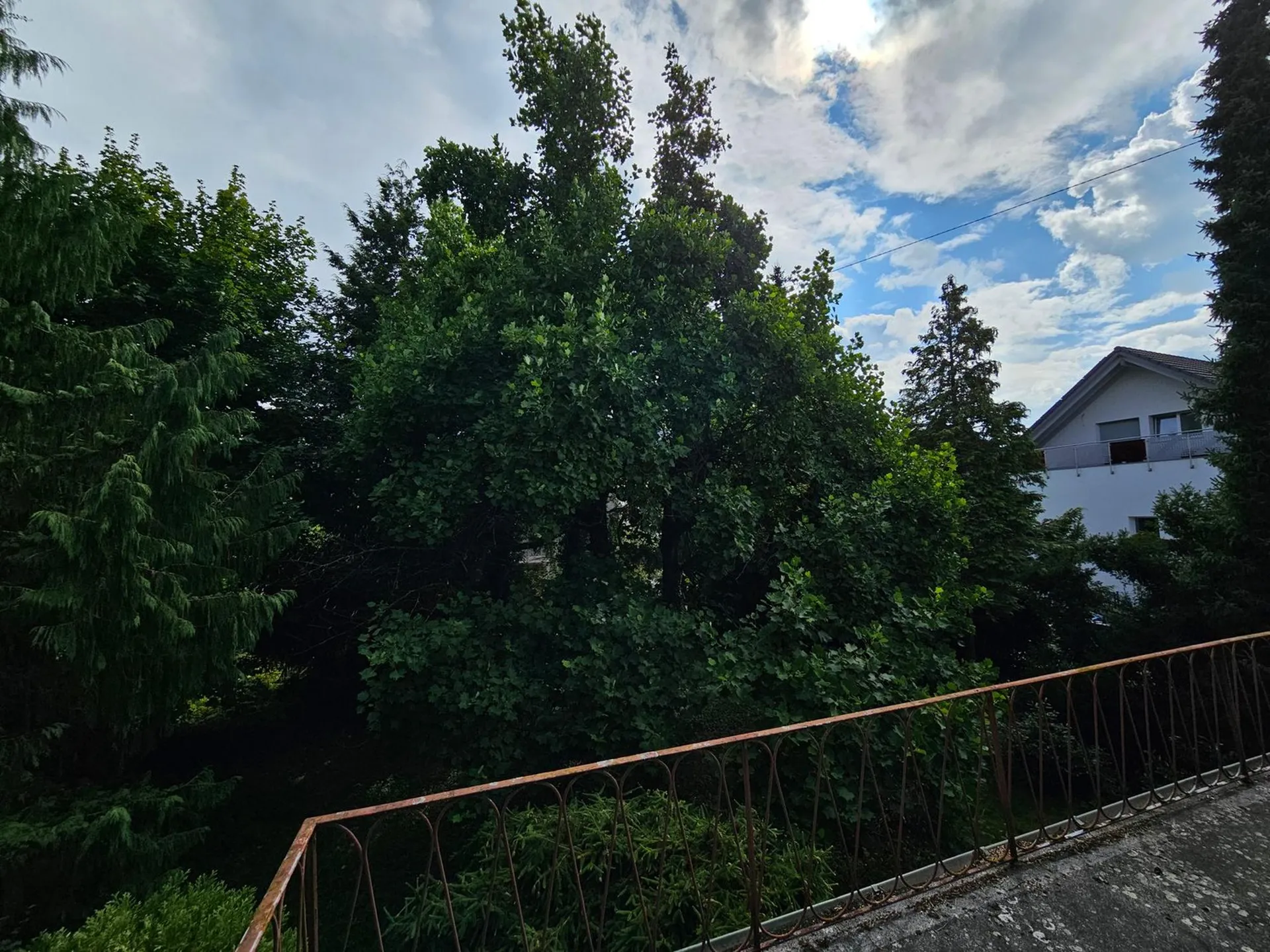 Bild 11