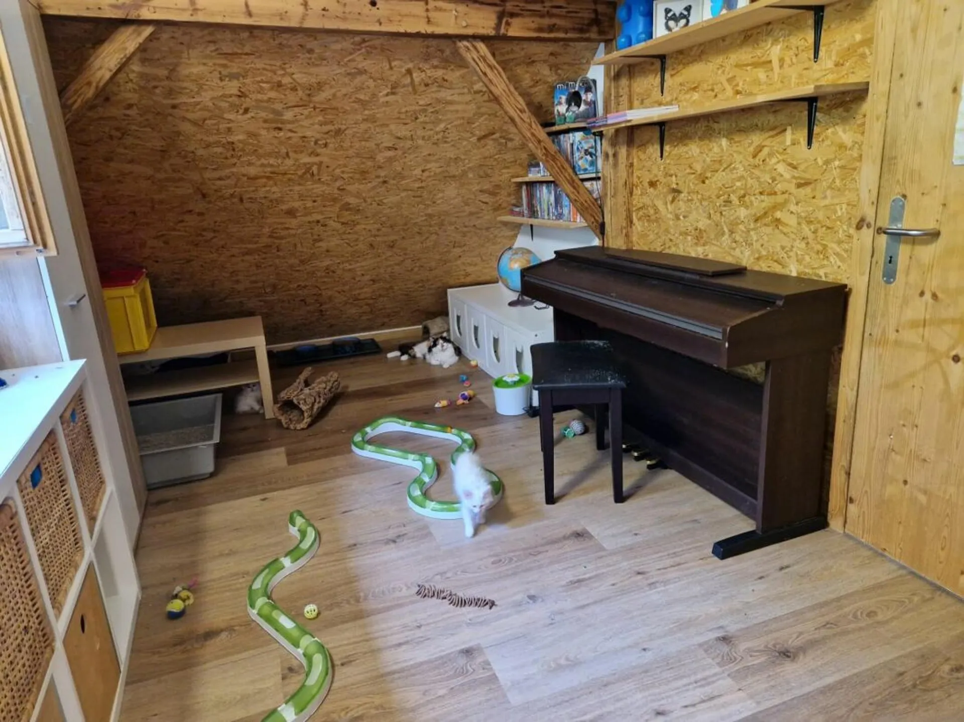 Image 5