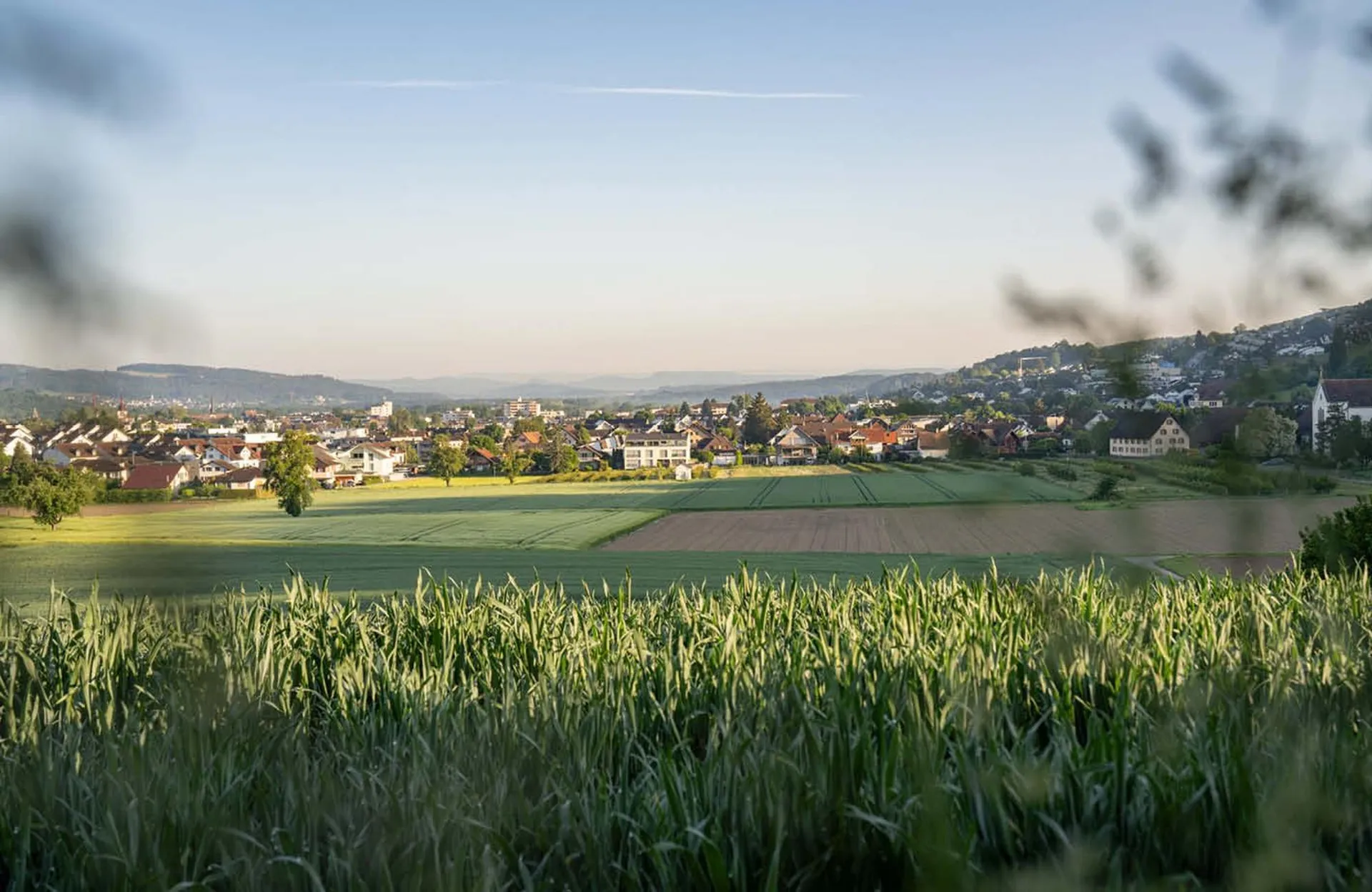 Bild 7