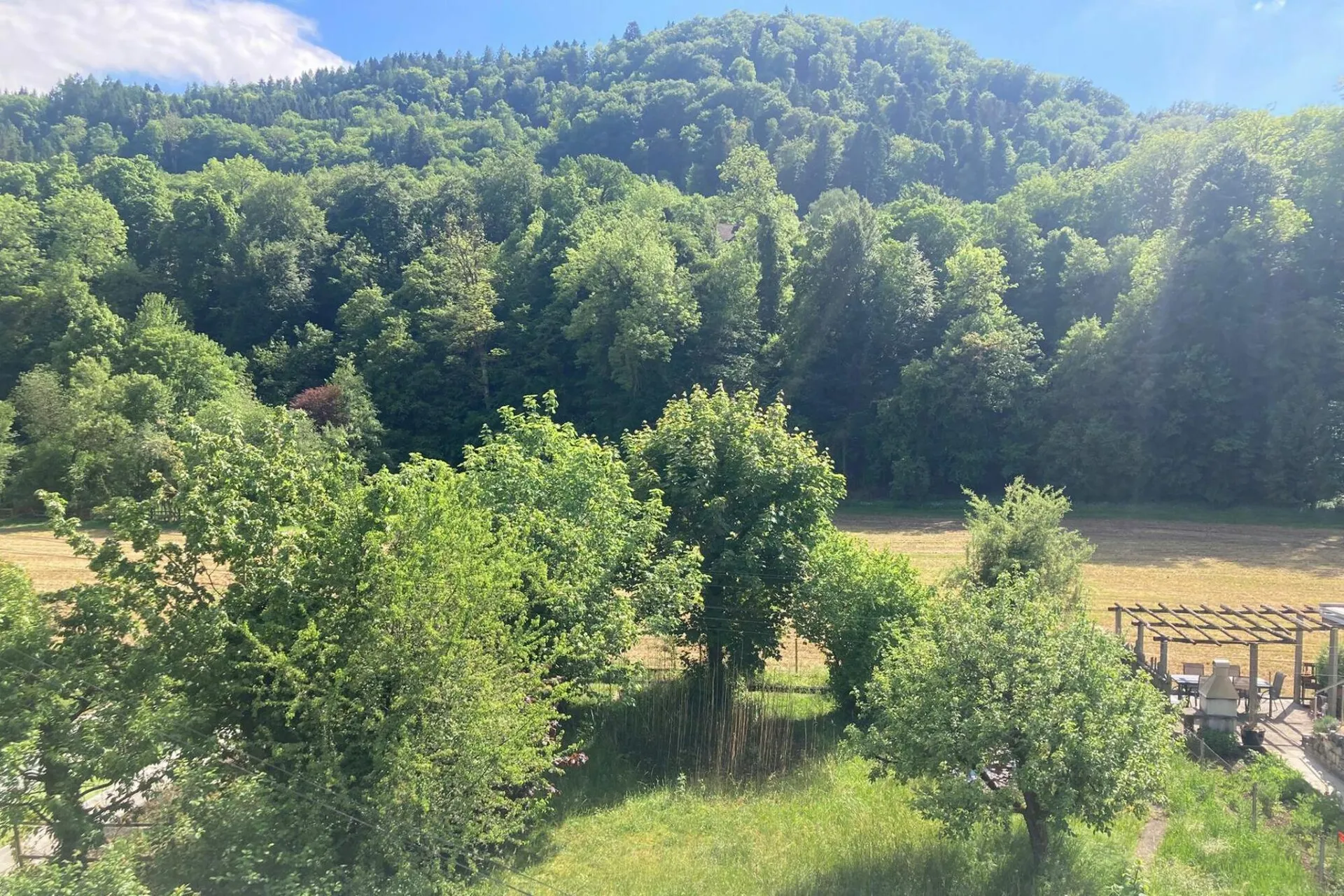 Bild 11