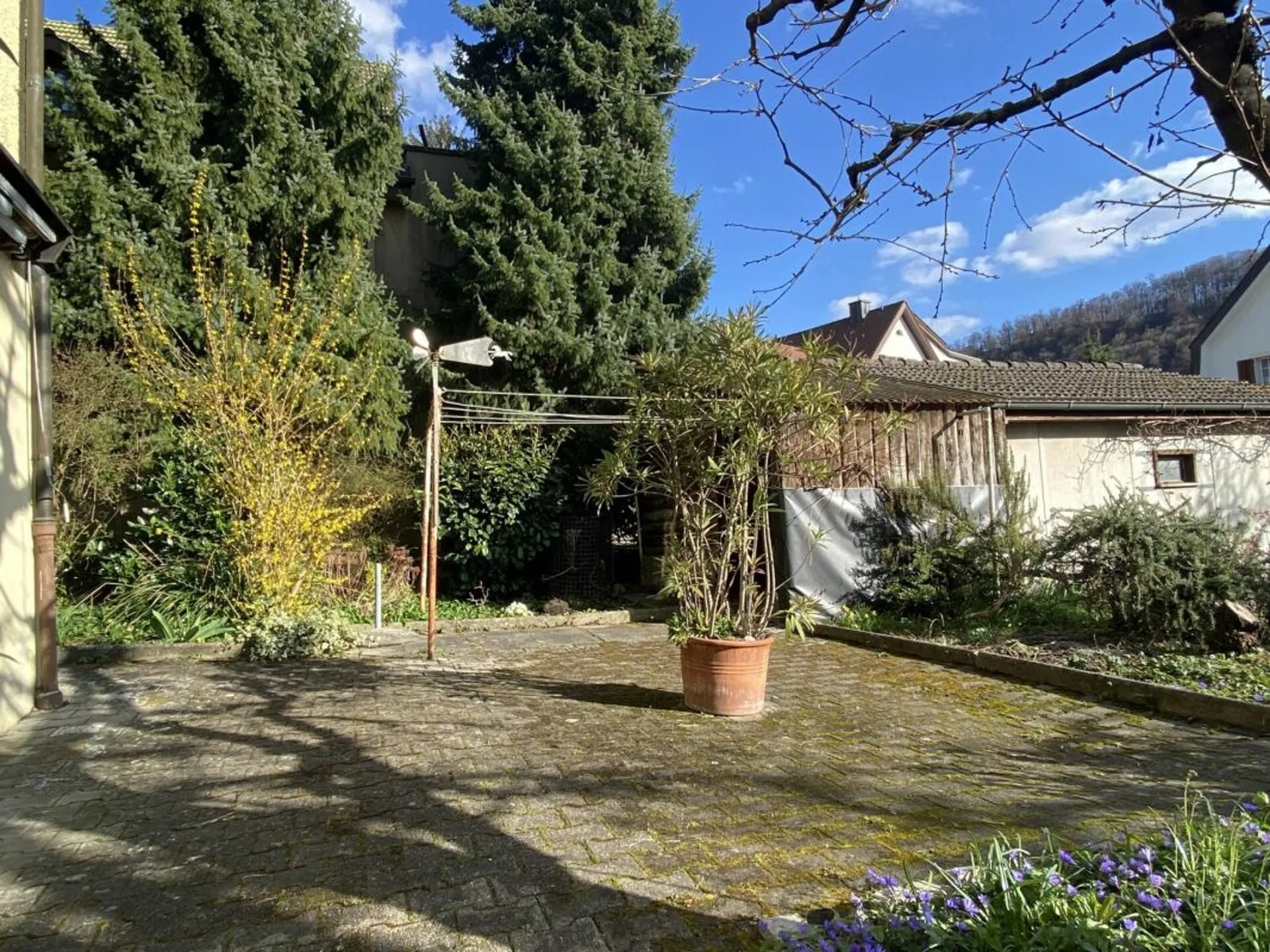 Bild 6