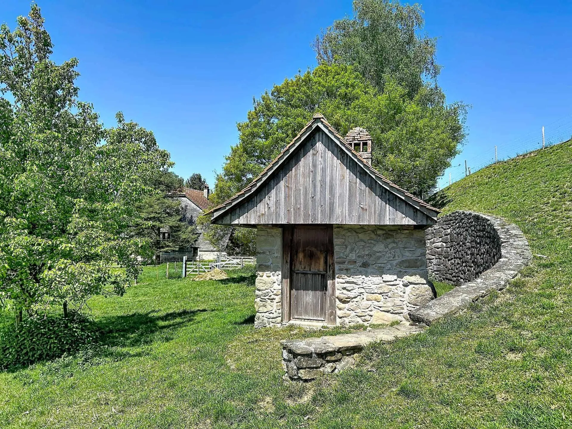 Bild 12